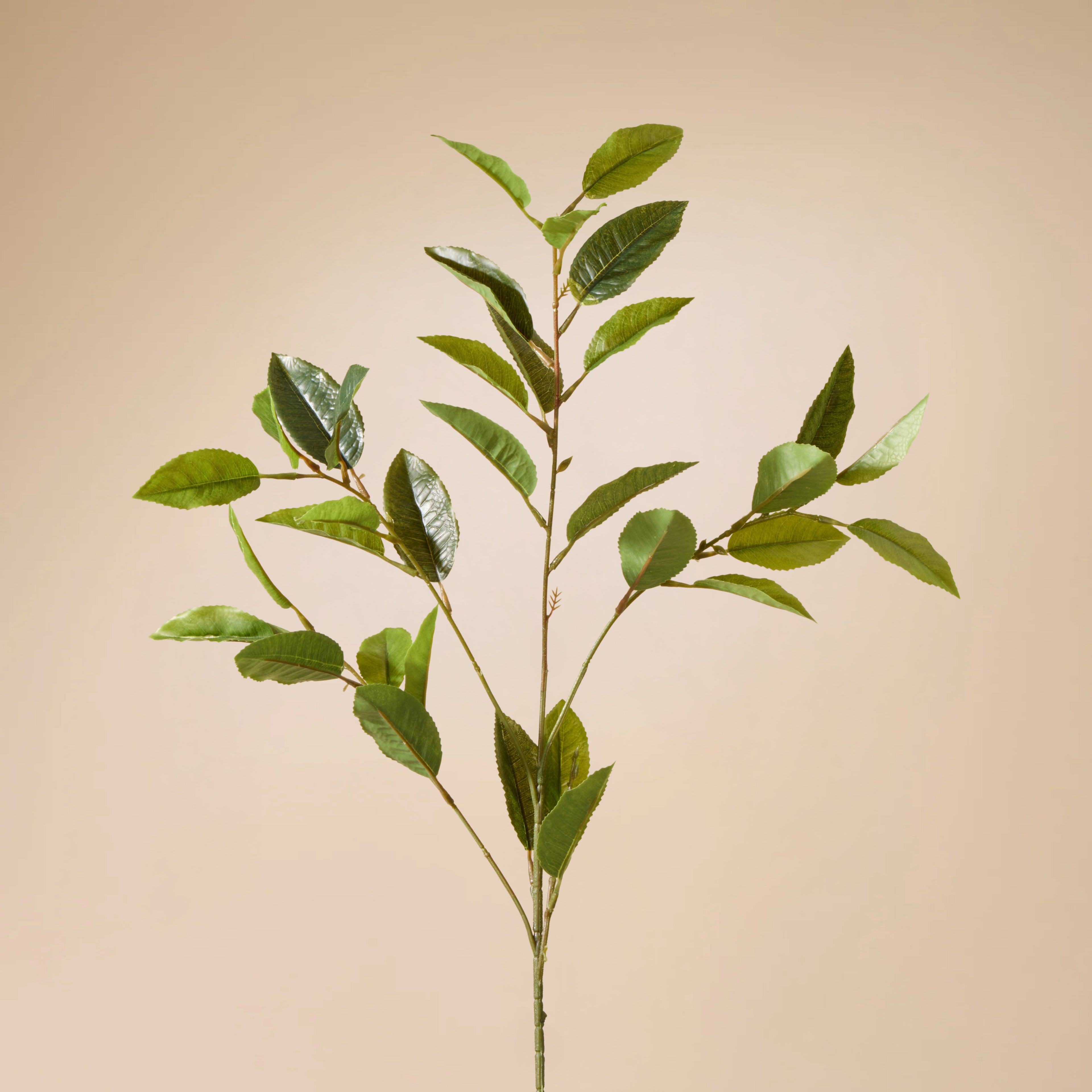 Faux Viburnum Spray | Green - 72cm