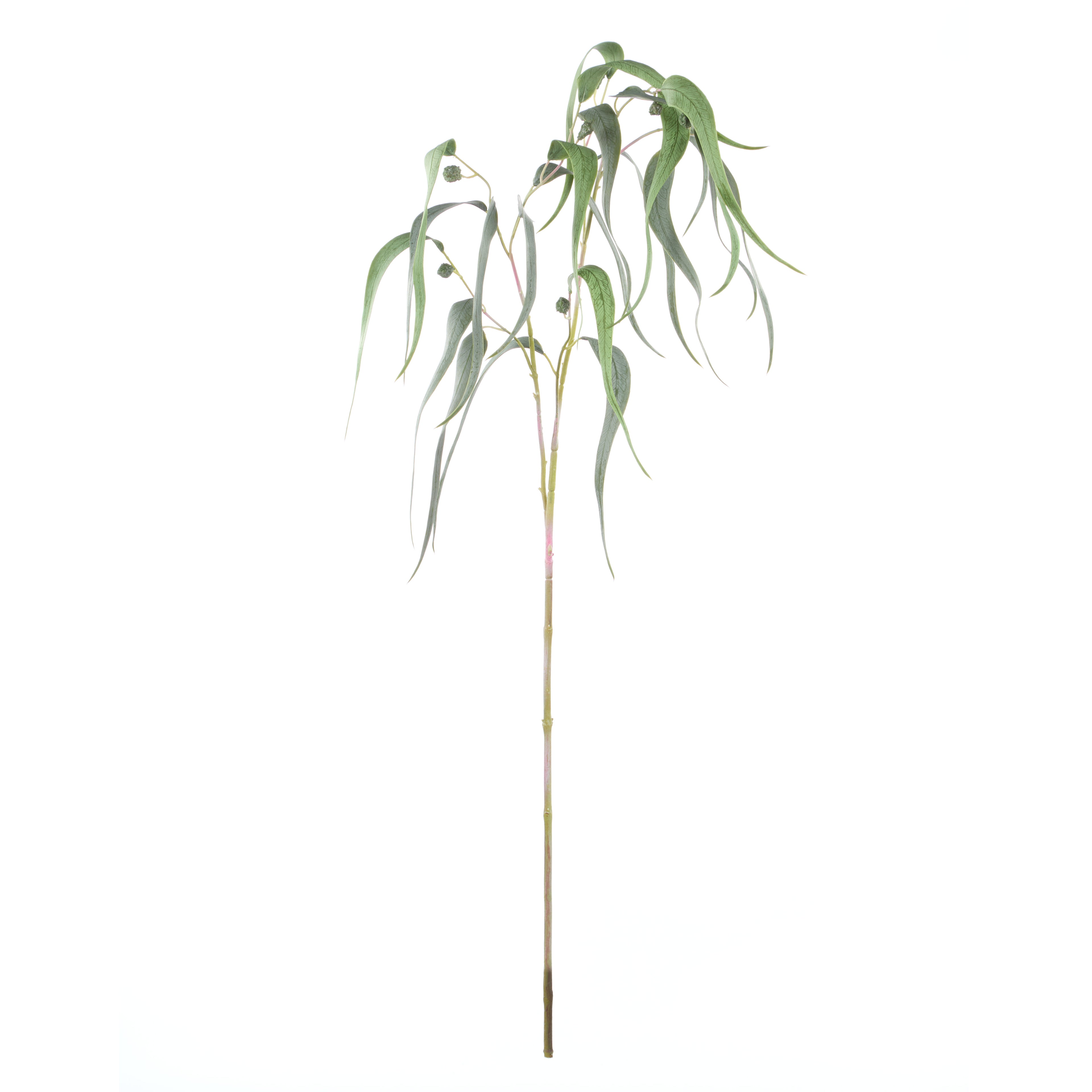 Faux Eucalyptus Gum Nut Spray | 122cm