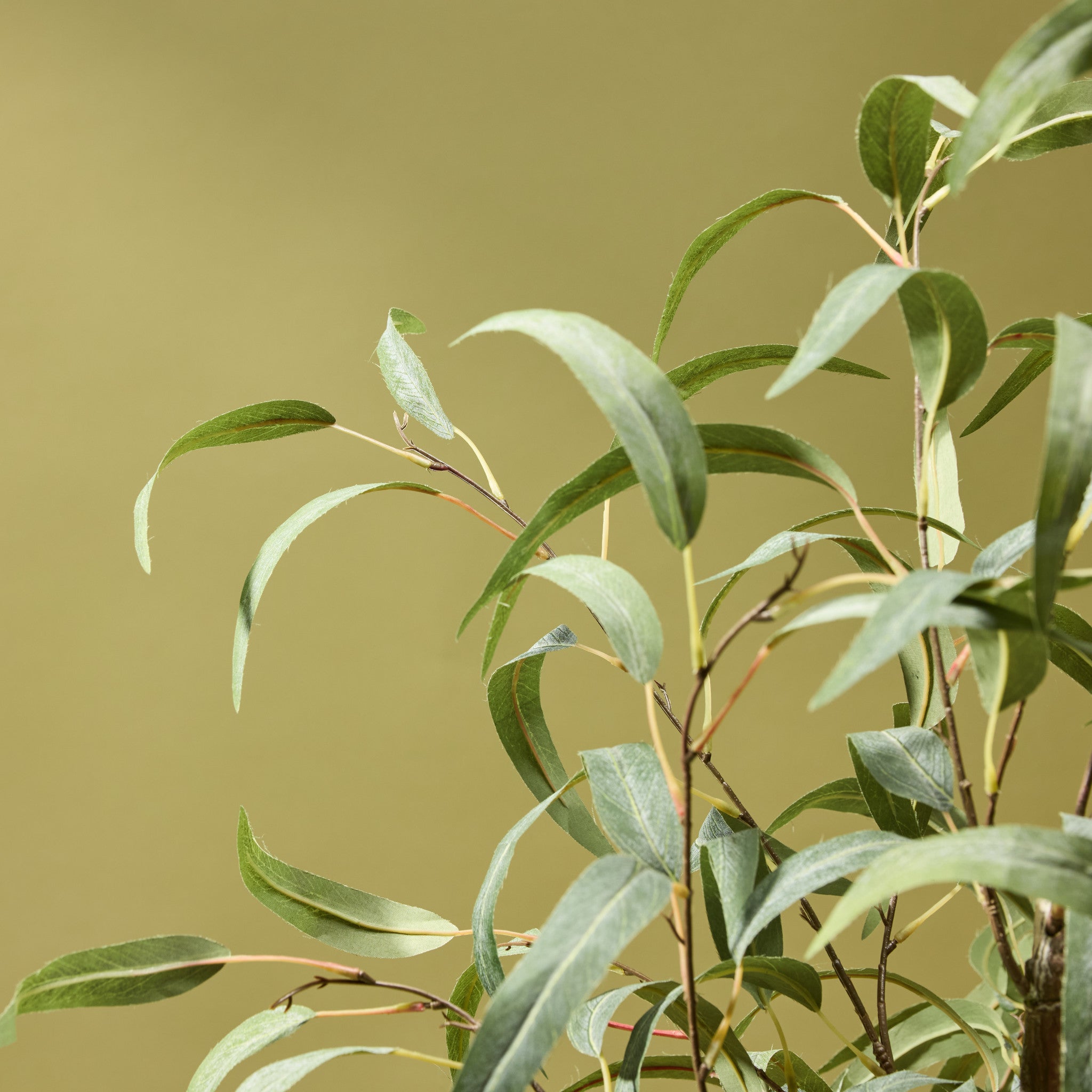 Faux Eucalyptus Willow Tree | 150cm