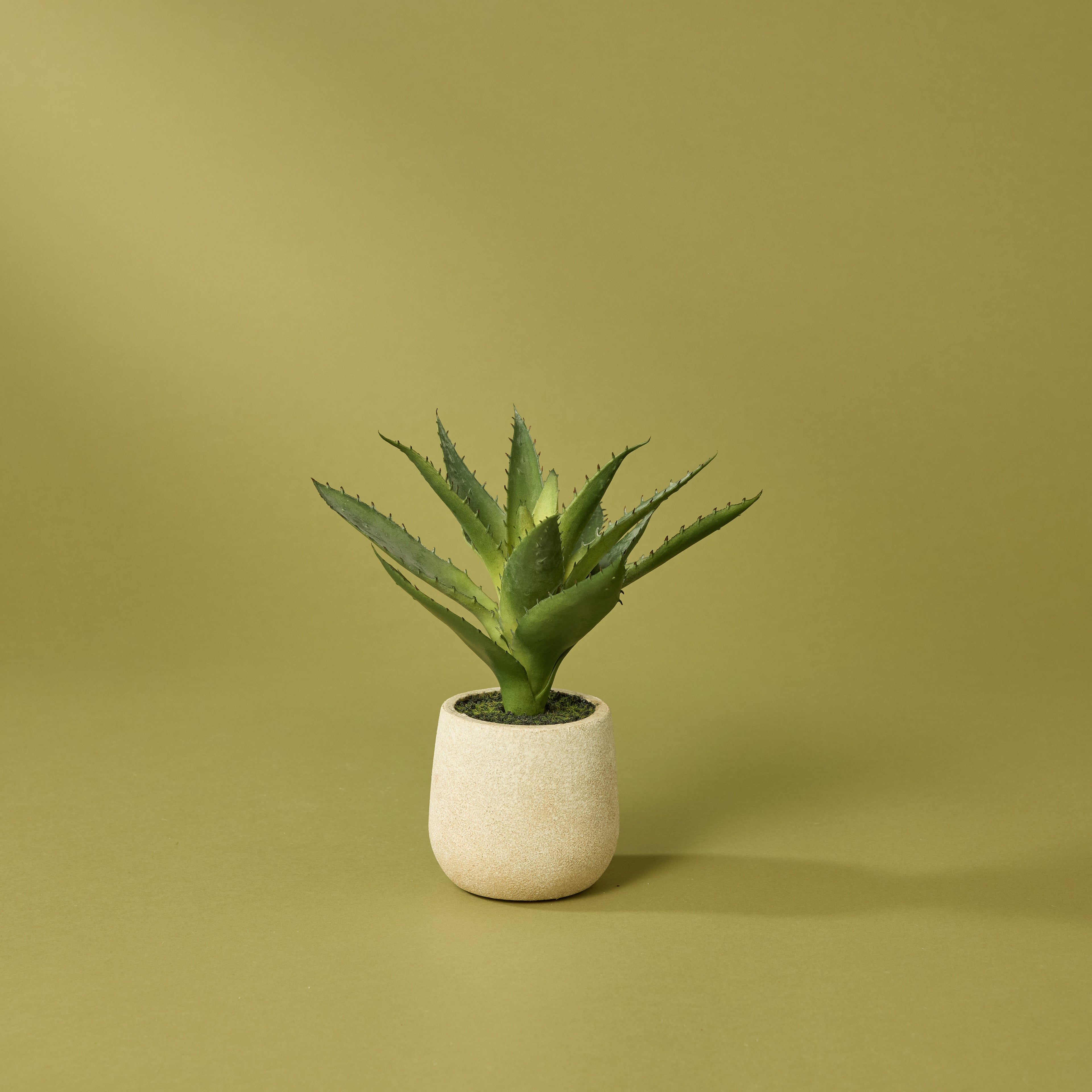 Faux Aloe Plant - Cream Pot | 23cm