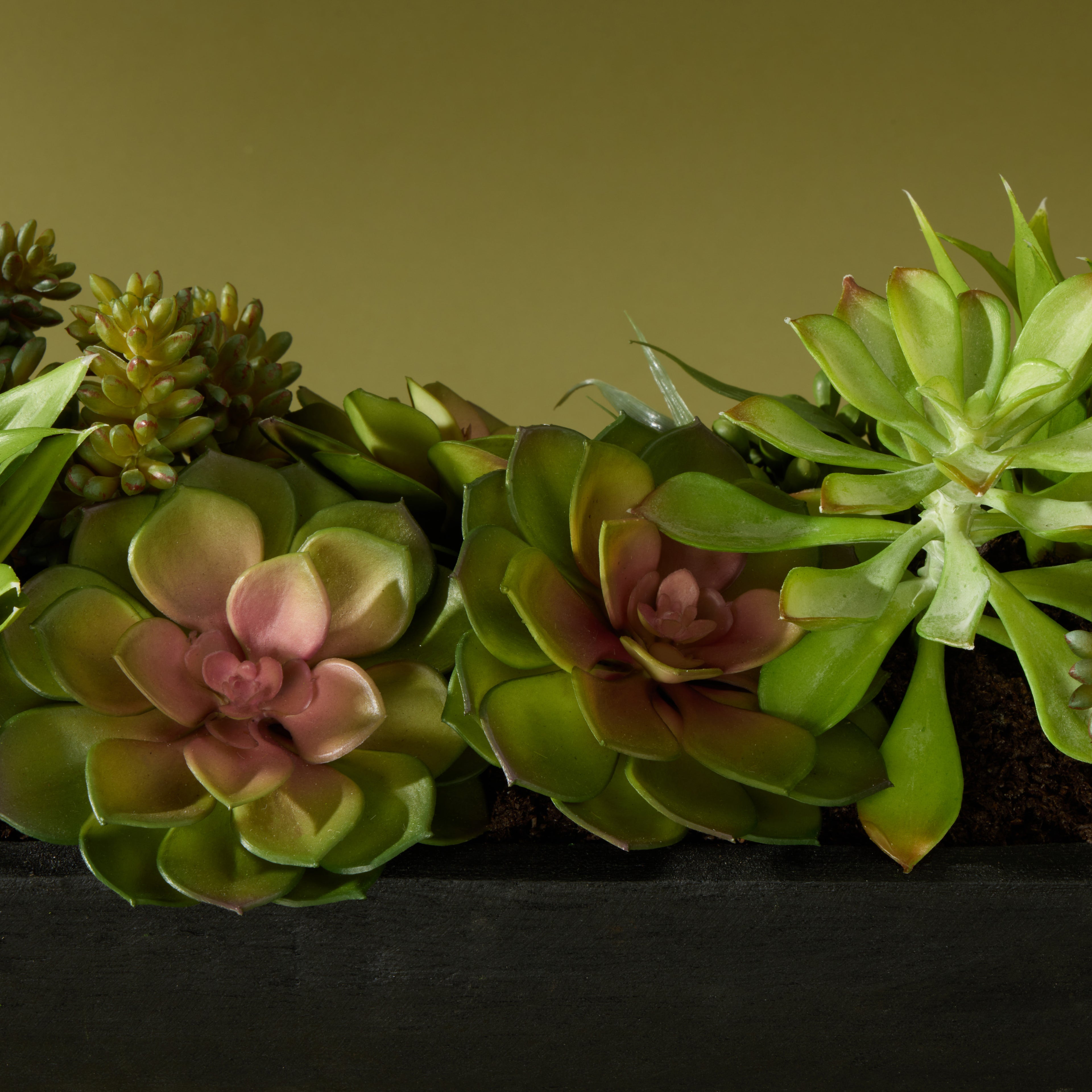 Faux Succulent Mix Garden Arrangement -Dansk Tray | 23cm
