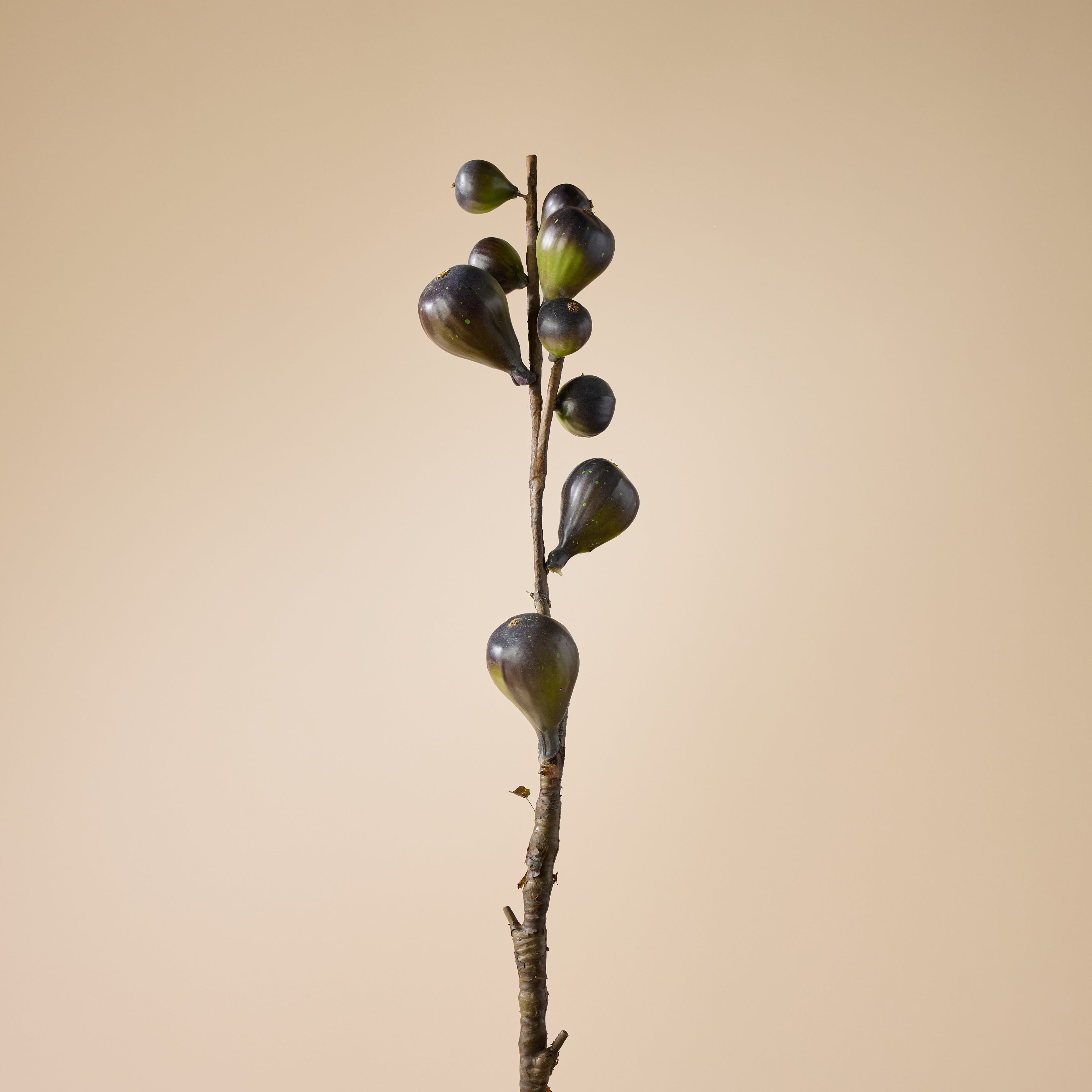 Faux Wild Fig Spray | Burgundy - 70cm
