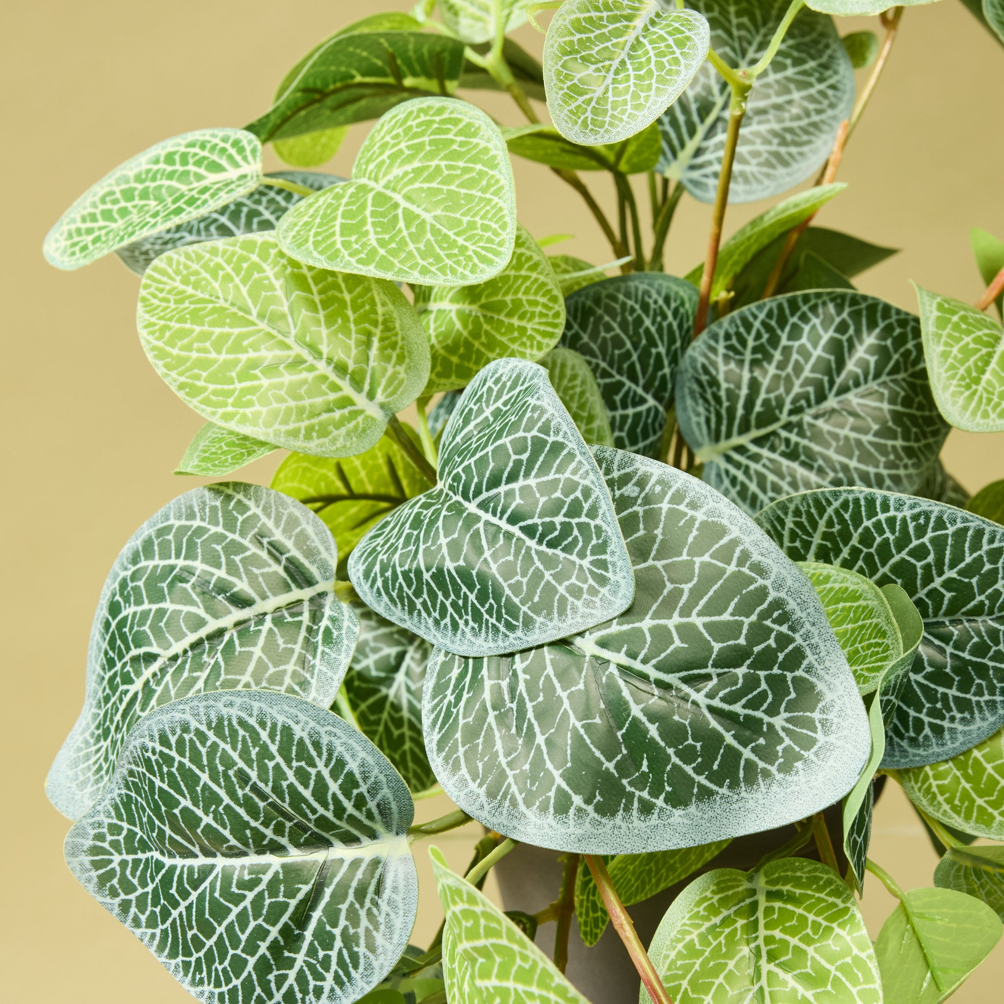 Faux Hanging Fittonia - Garden Pot | 82cm