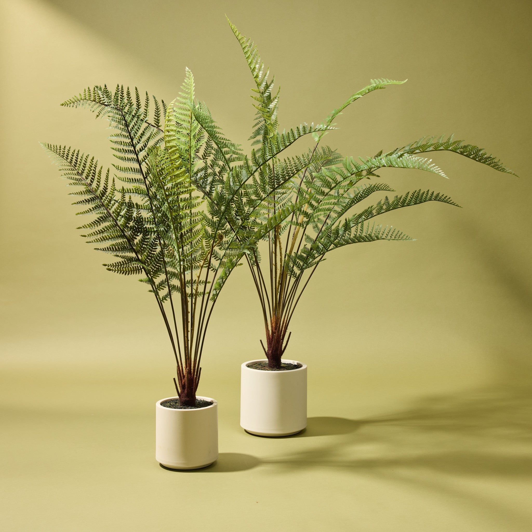 Faux Potted Fern | 102cm