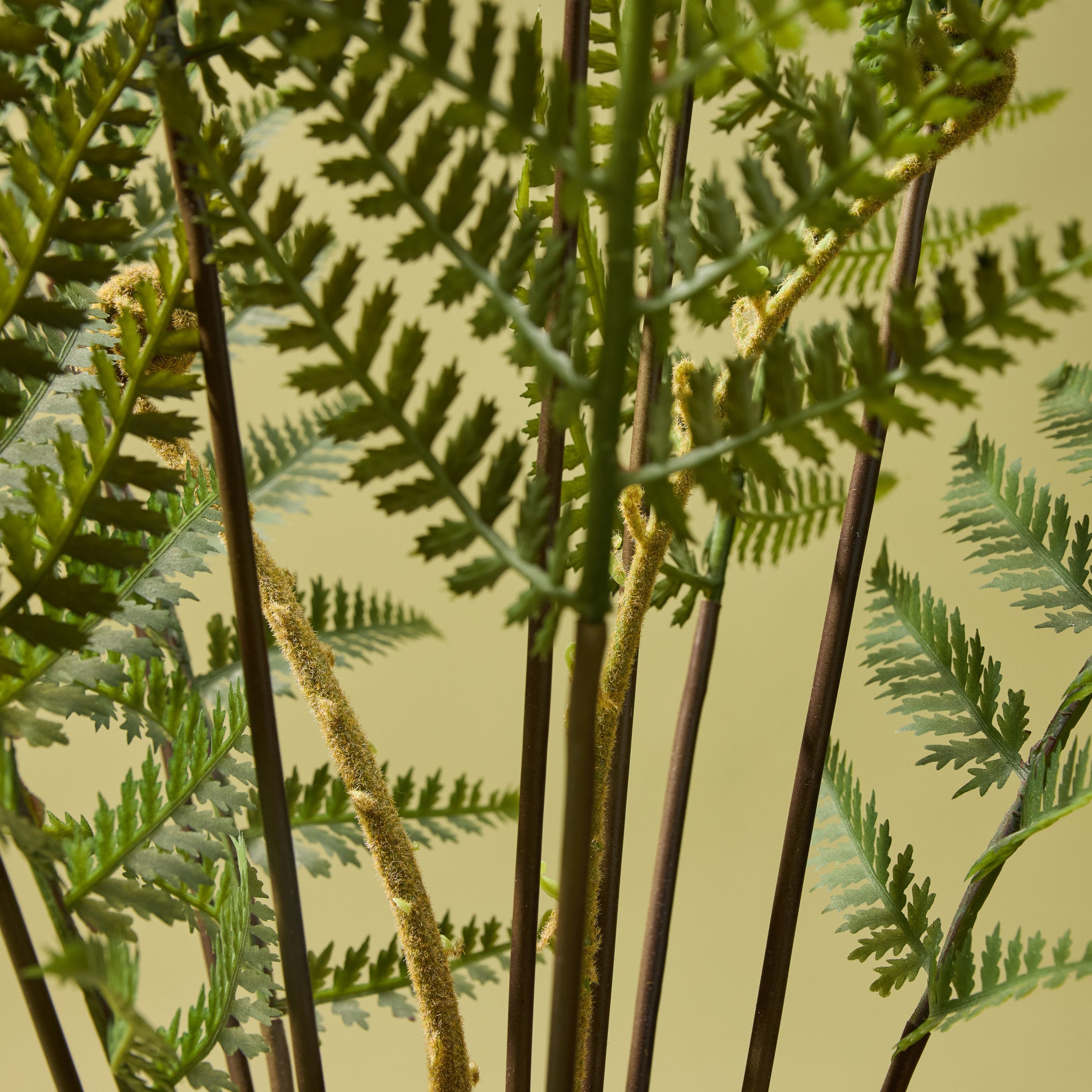 Faux Potted Fern | 102cm