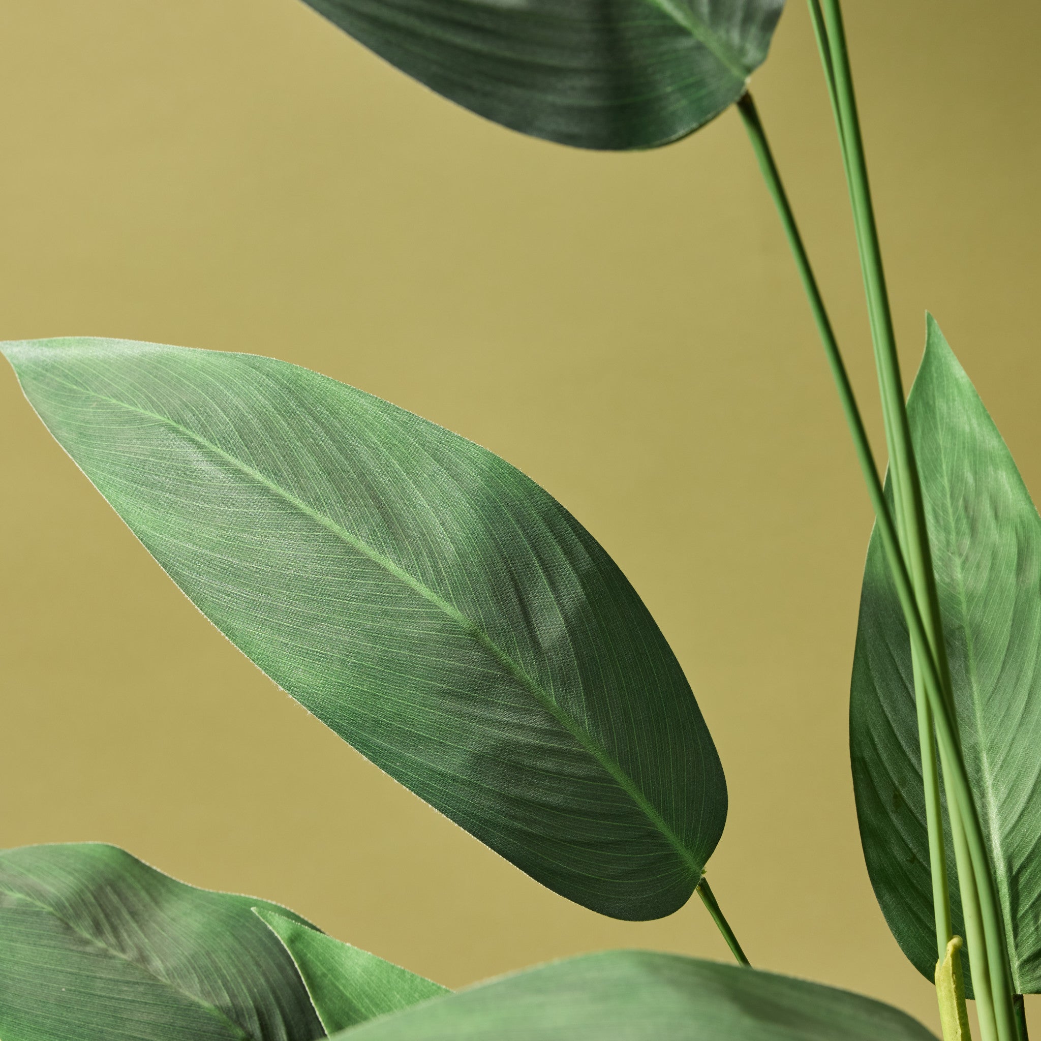 Faux Sky Bird Plant | 180cm