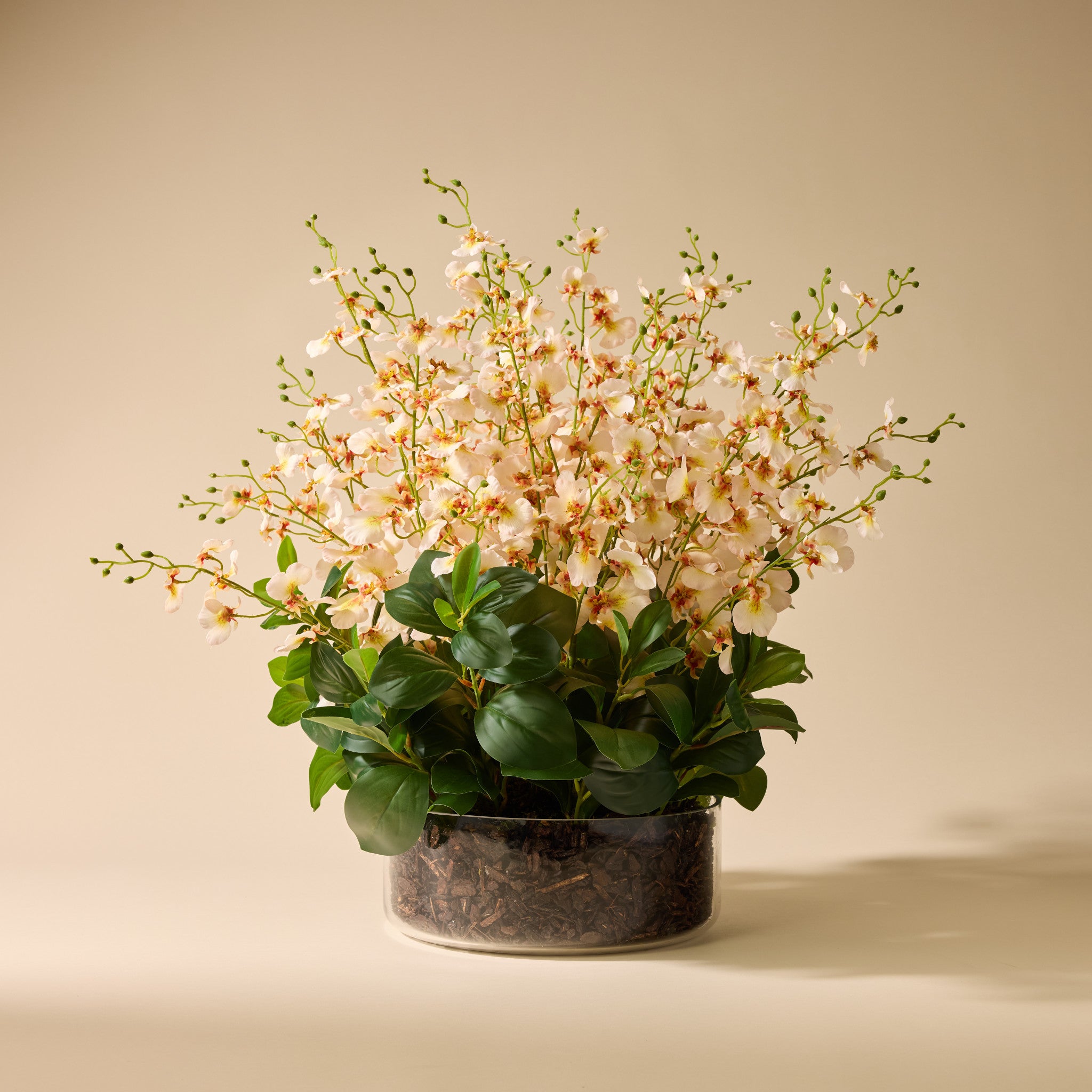 Faux Dancing Orchids - Madelyn Bowl | Cream - 67cm