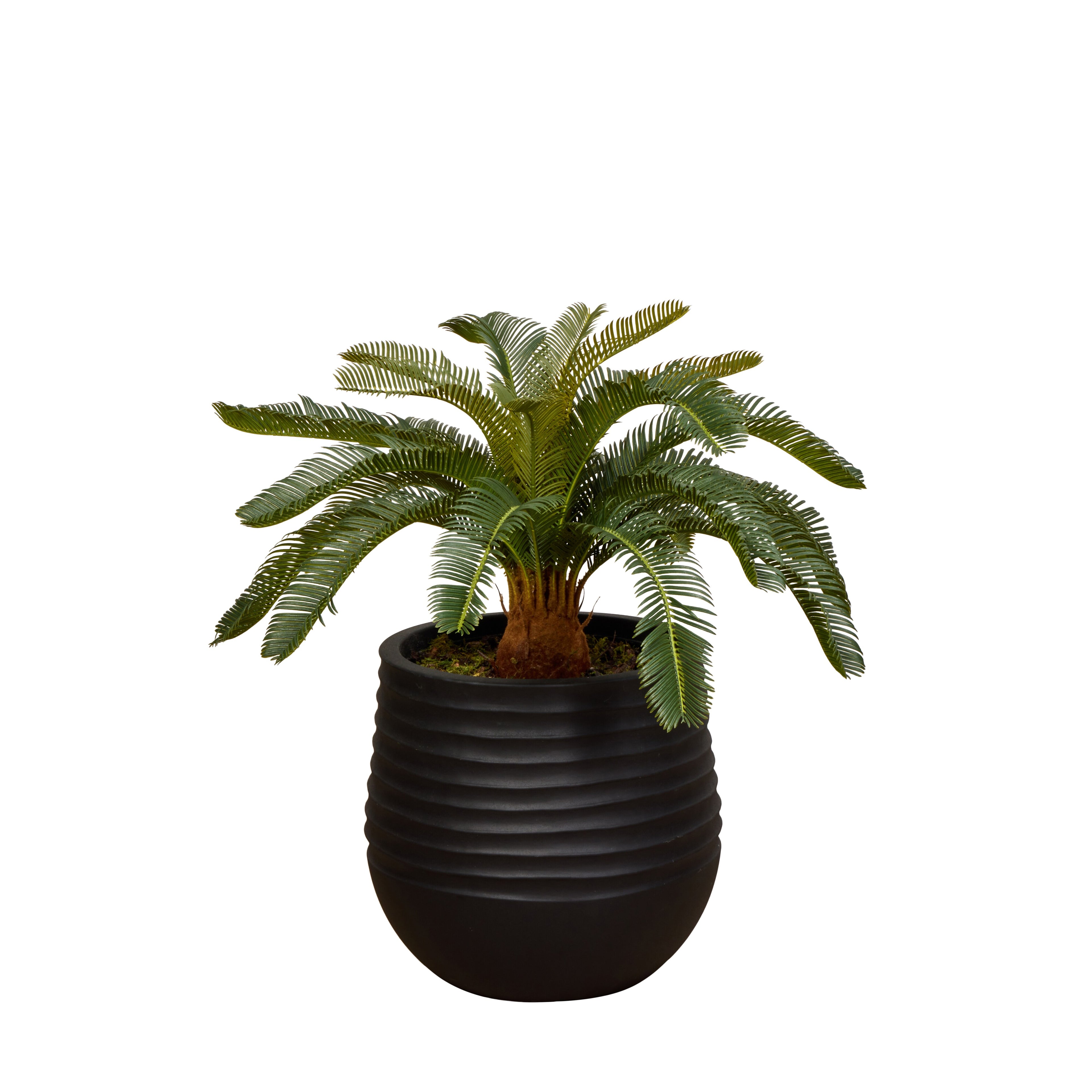 Faux Cycas Plant - Ryker Planter | Green - 76cm