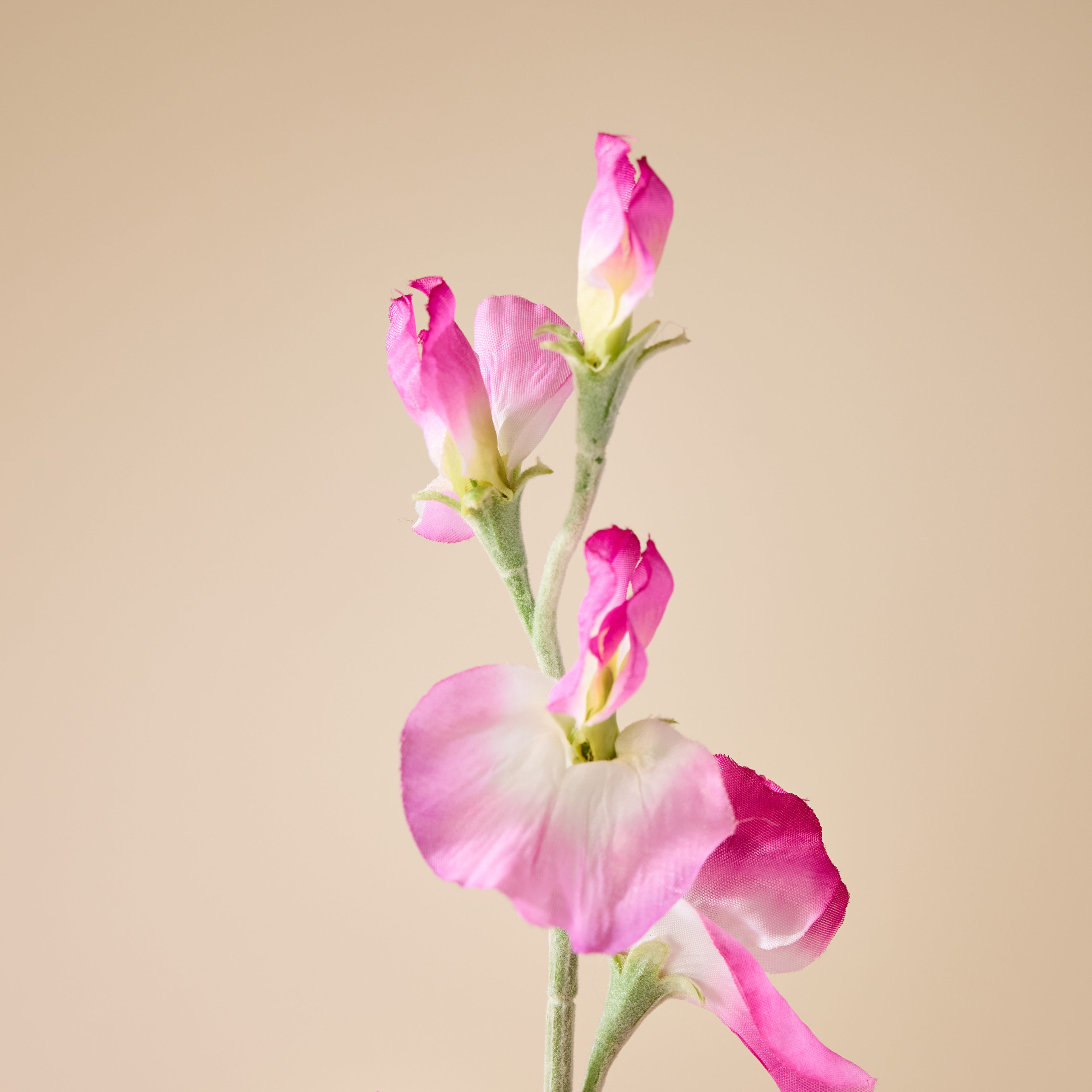 Faux Sweet Pea Spray | Pink - 64cm