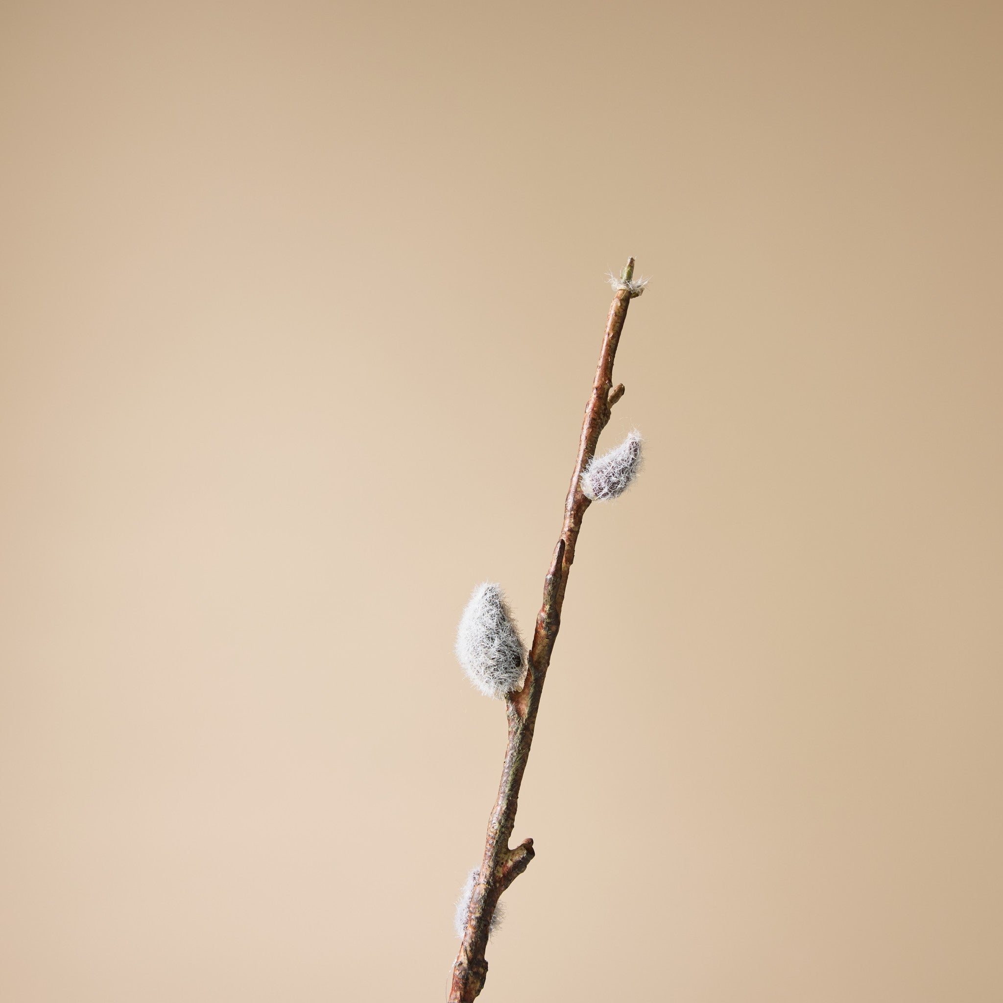 Faux Pussy Willow Spray | 95cm