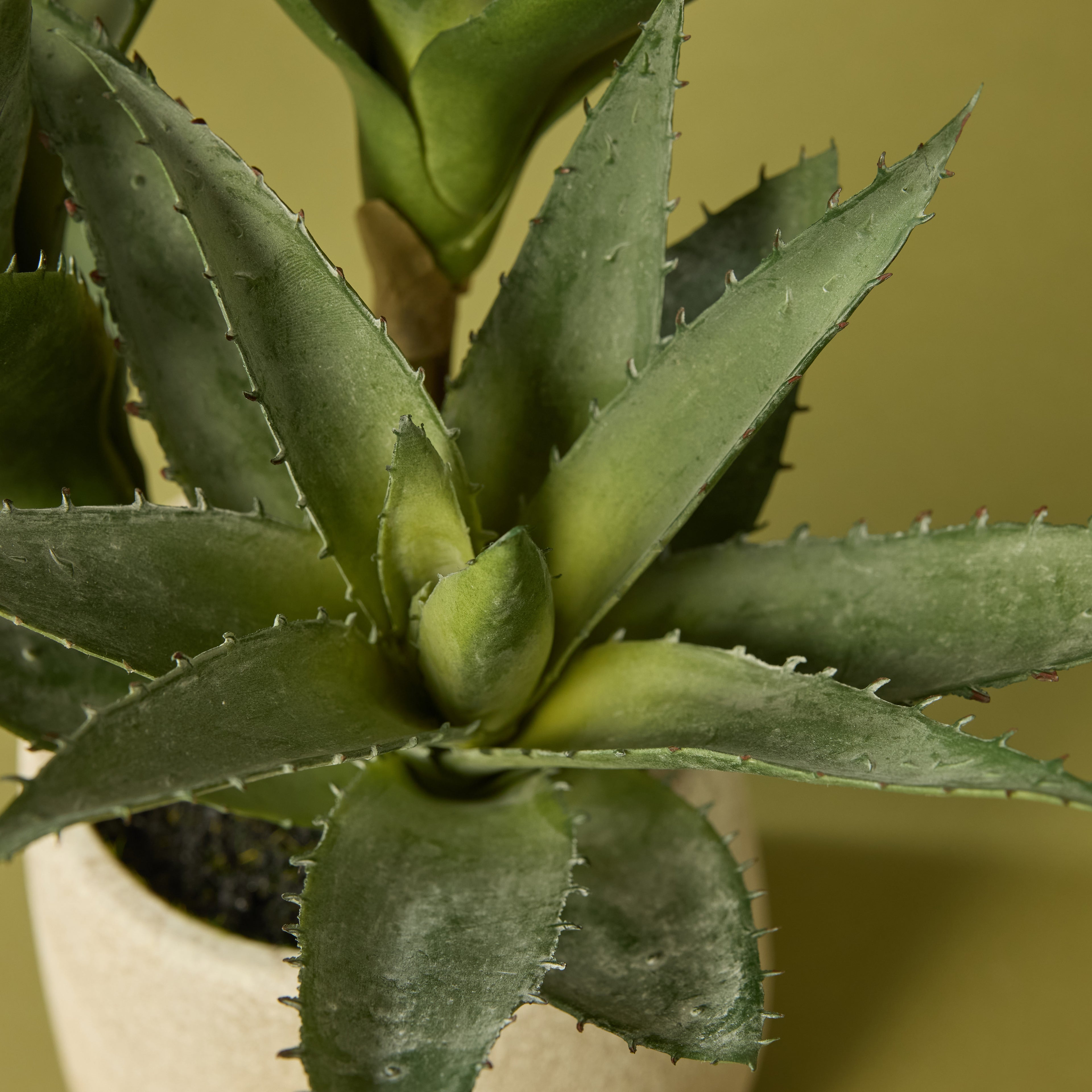 Faux Aloe Plant With 3 Heads - Cream Pot | 33cm