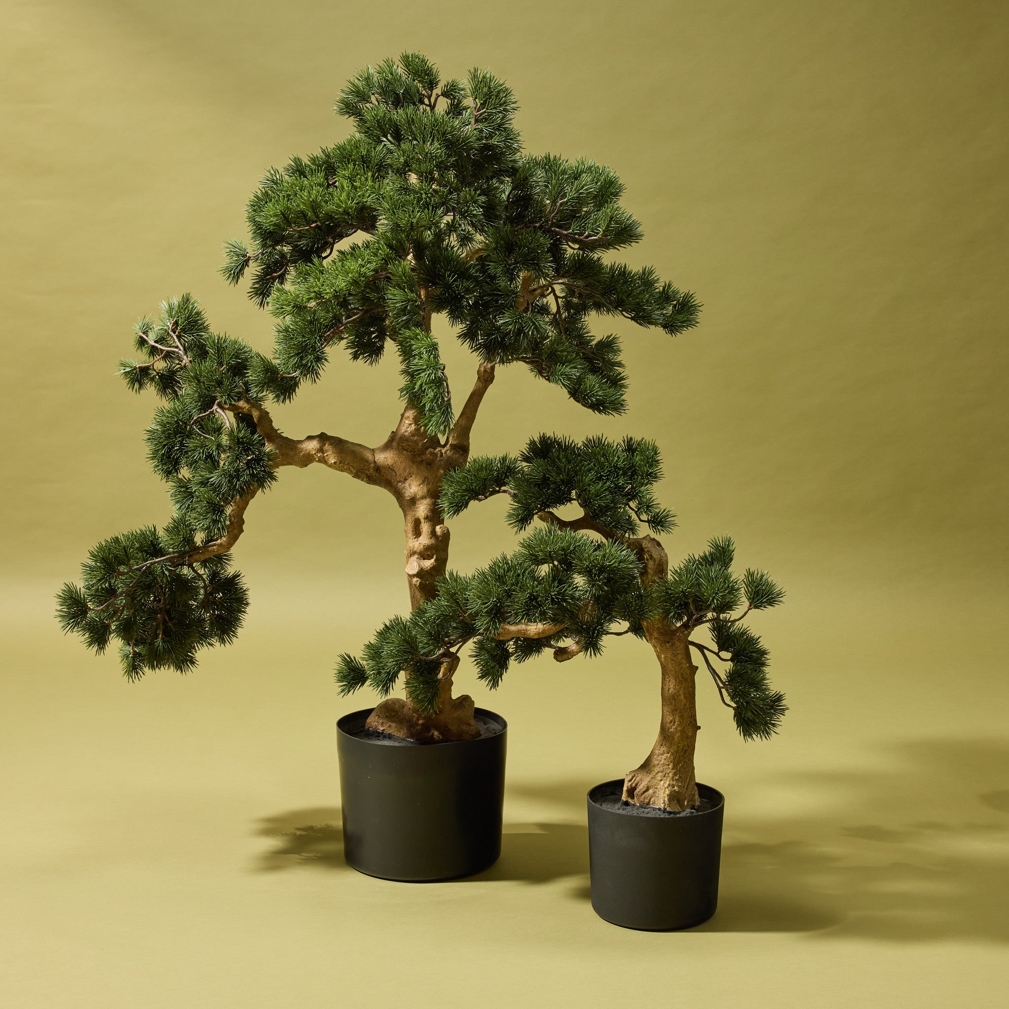Faux Pine Bonsai Tree - Garden Pot | 55cm