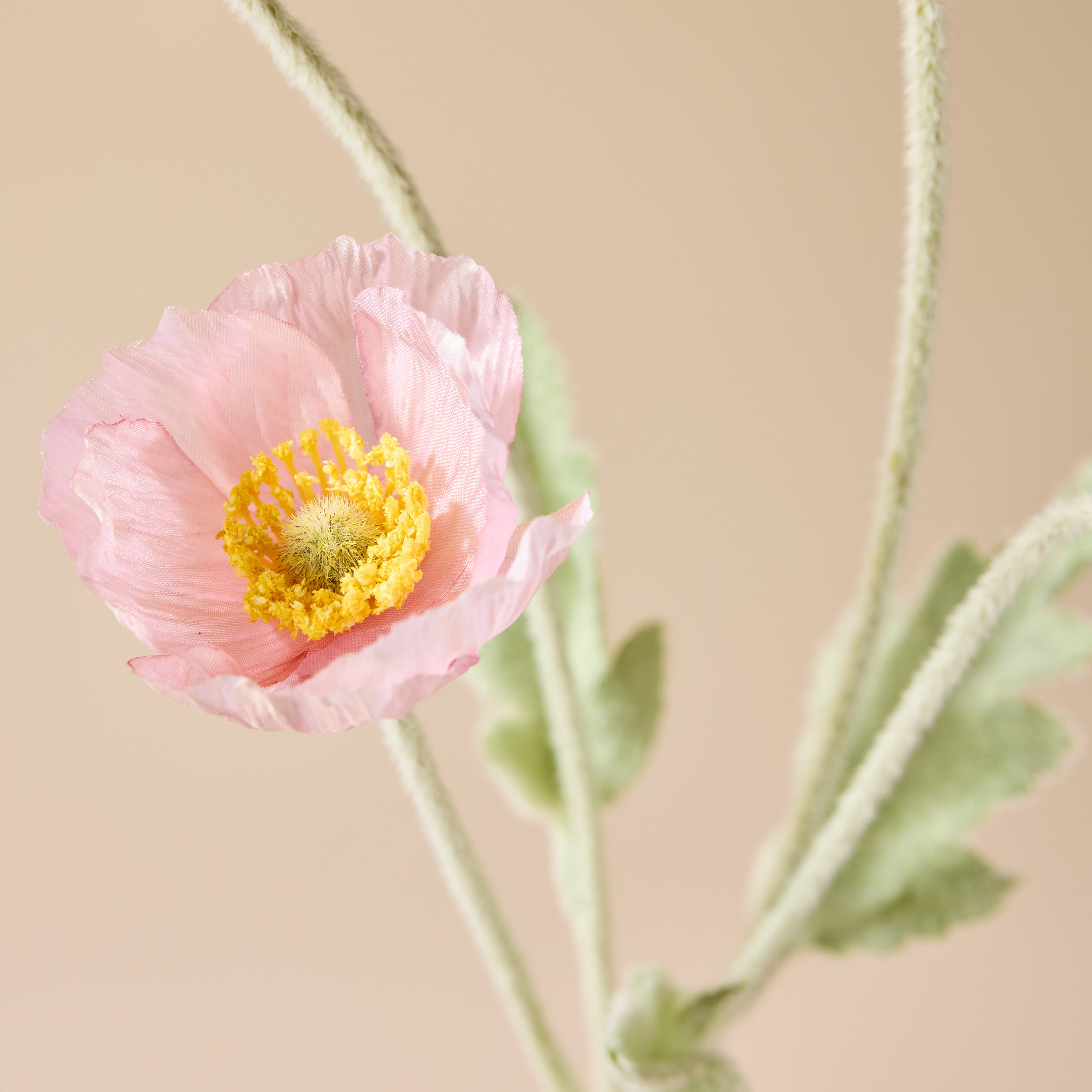 Faux Poppy Spray | Blush Pink - 60cm