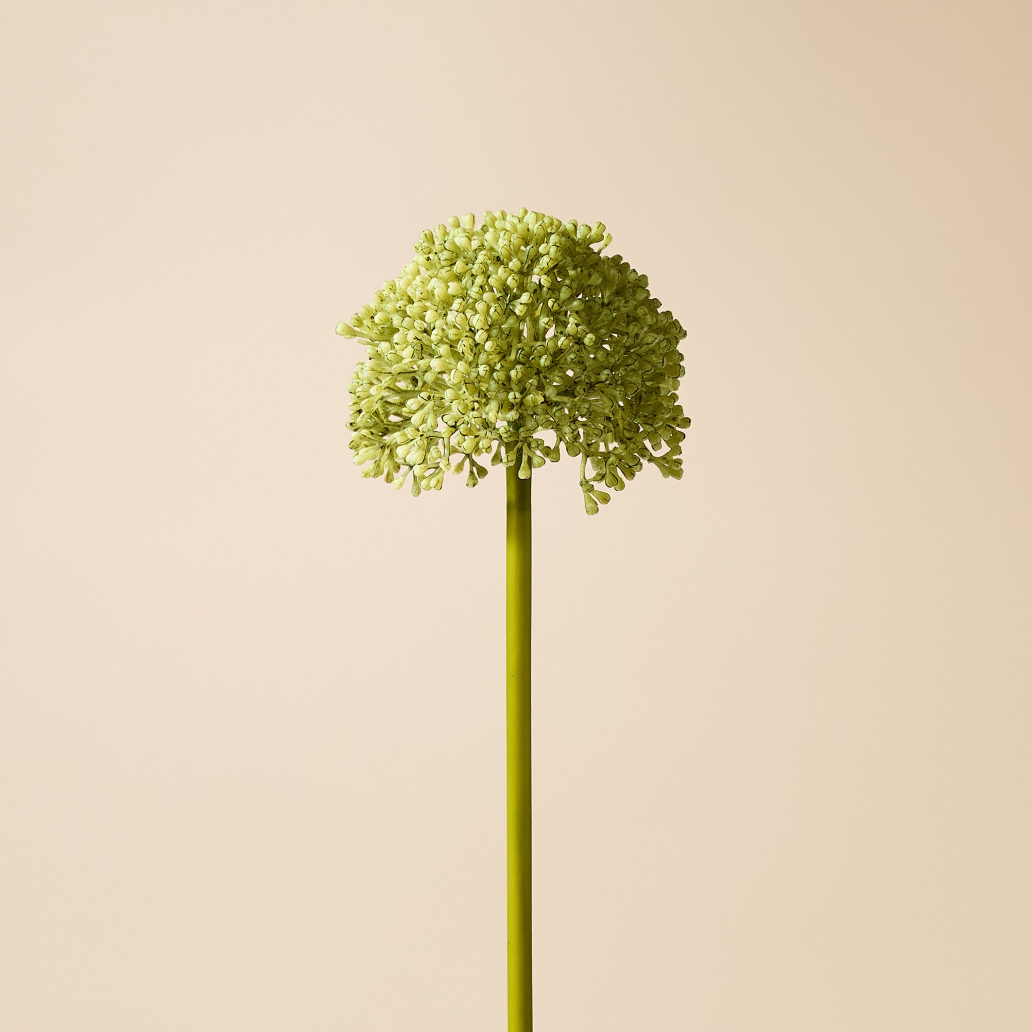 Faux Buddleia Stem | Green - 59cm