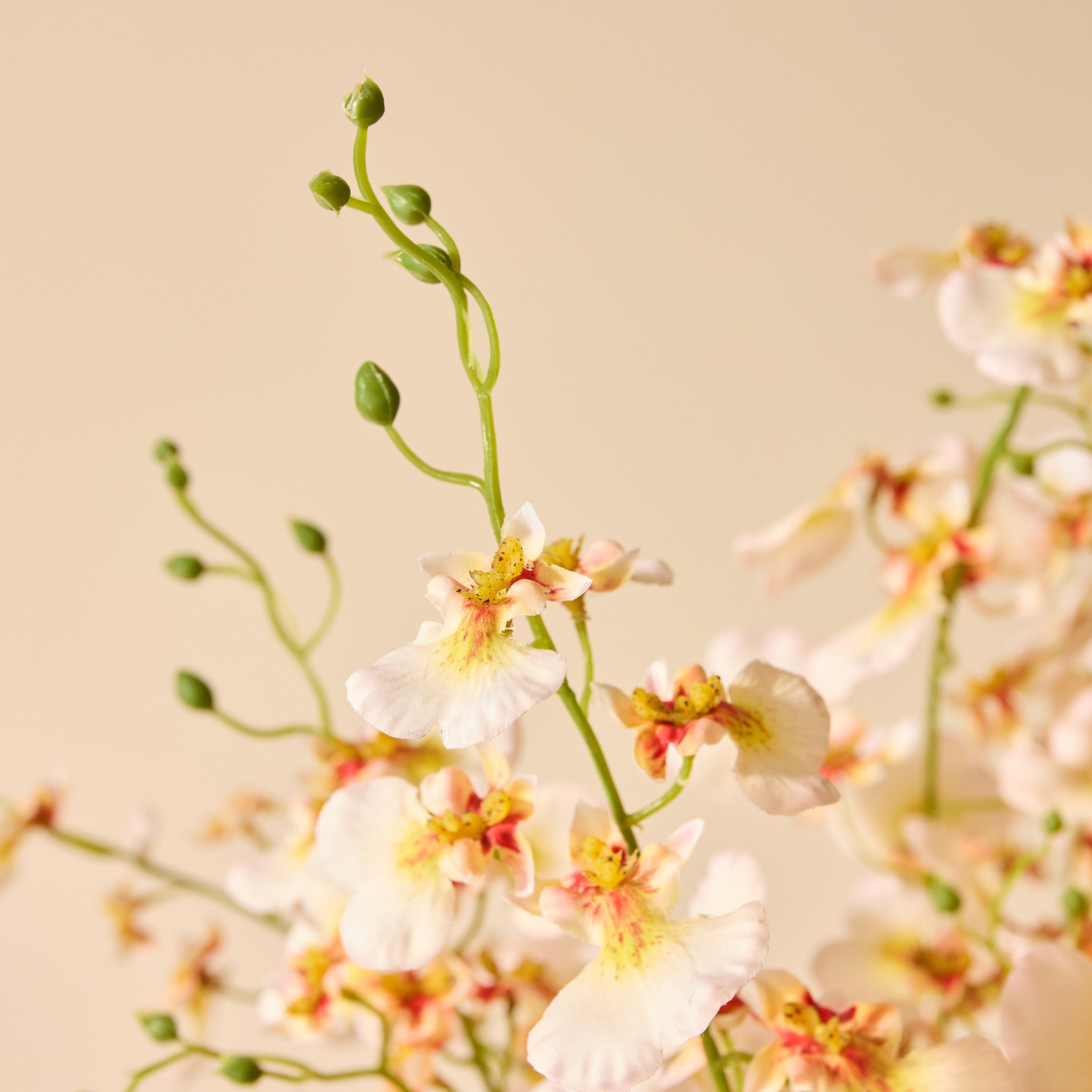 Faux Dancing Orchids - Madelyn Bowl | Cream - 67cm