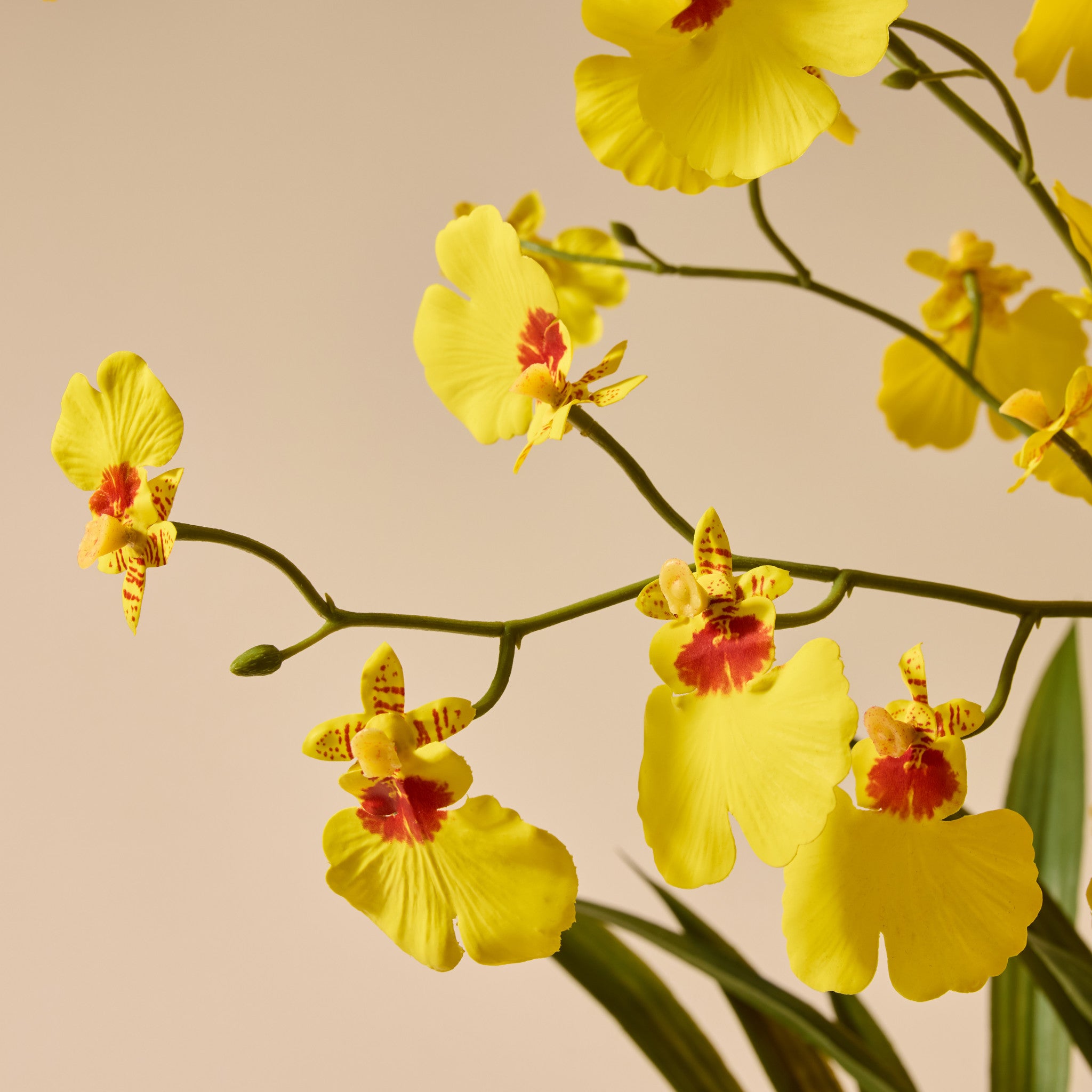 Faux Dancing Orchid Pot | Yellow - 66cm
