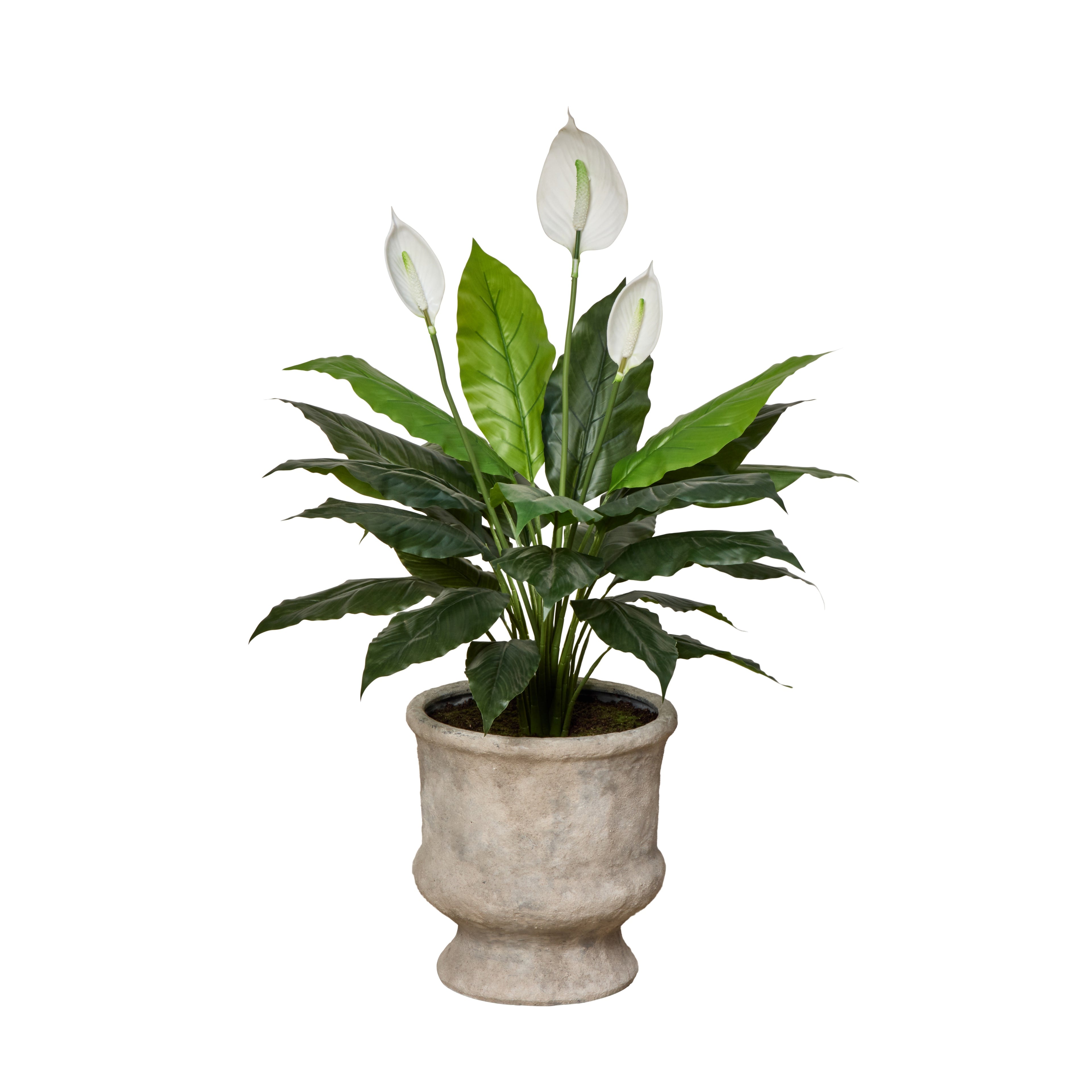 Faux Peace Lily - Lille Planter | Green - 108cm