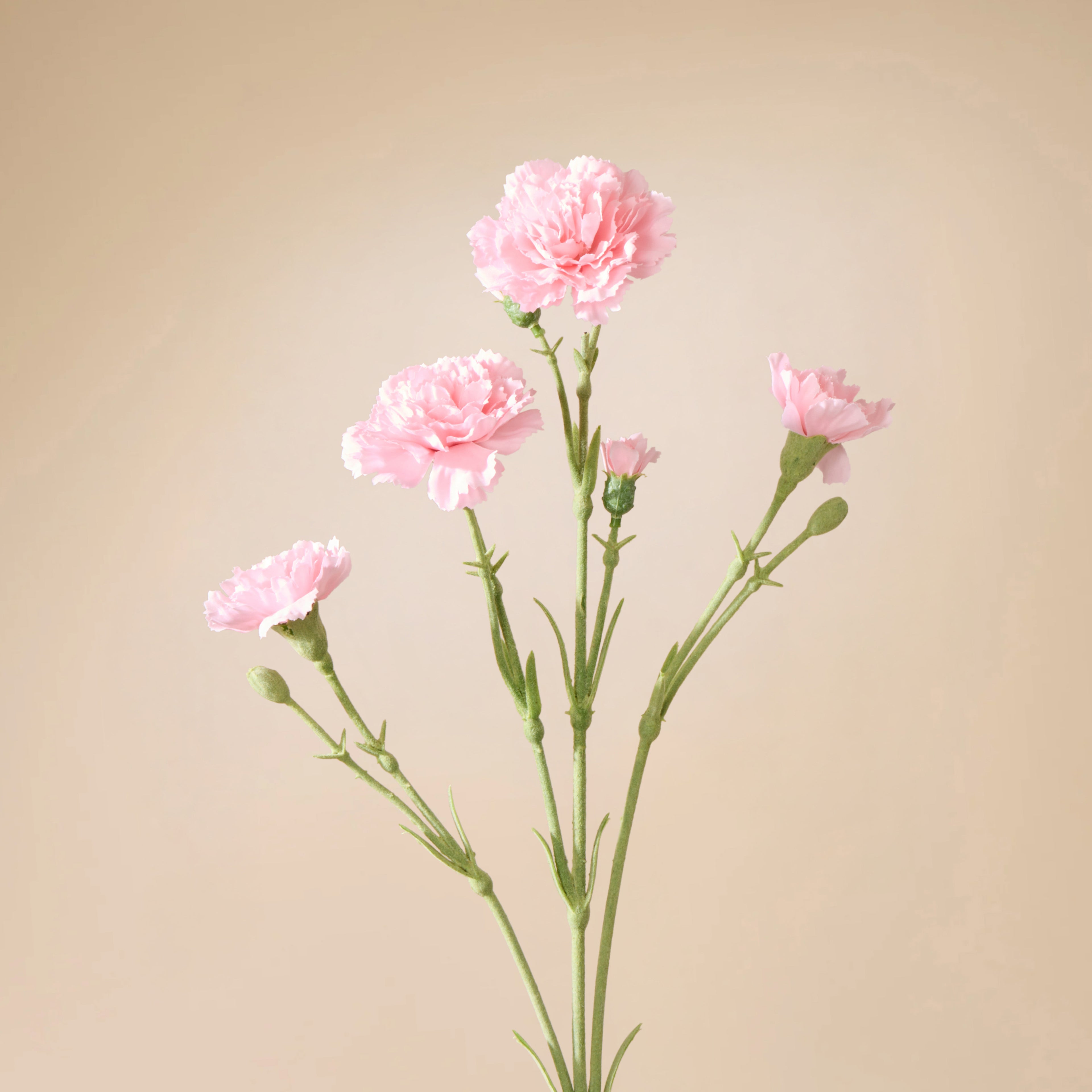 Faux Carnation Spray | Light Pink - 62cm