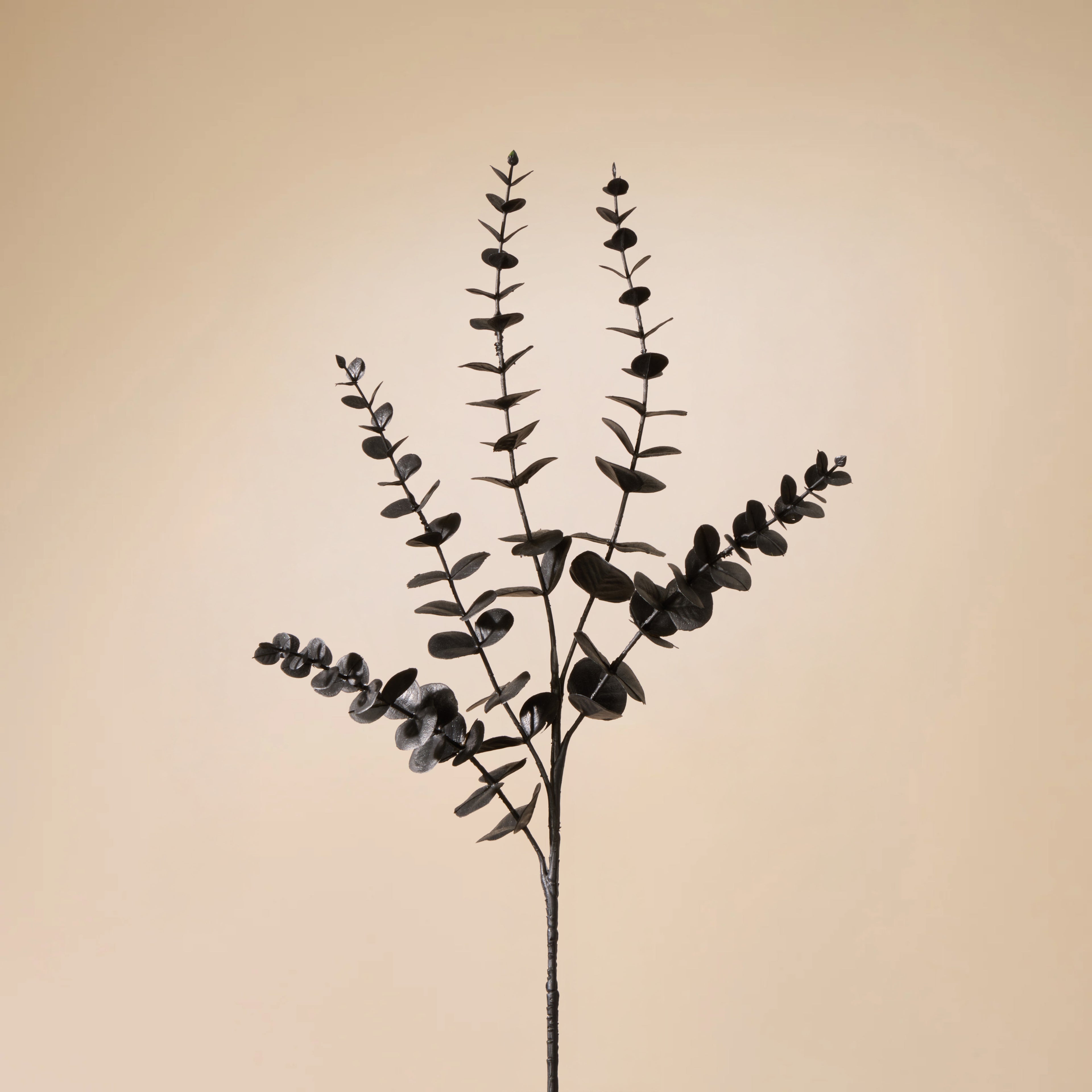 Faux Eucalyptus Spray | Black - 74cm