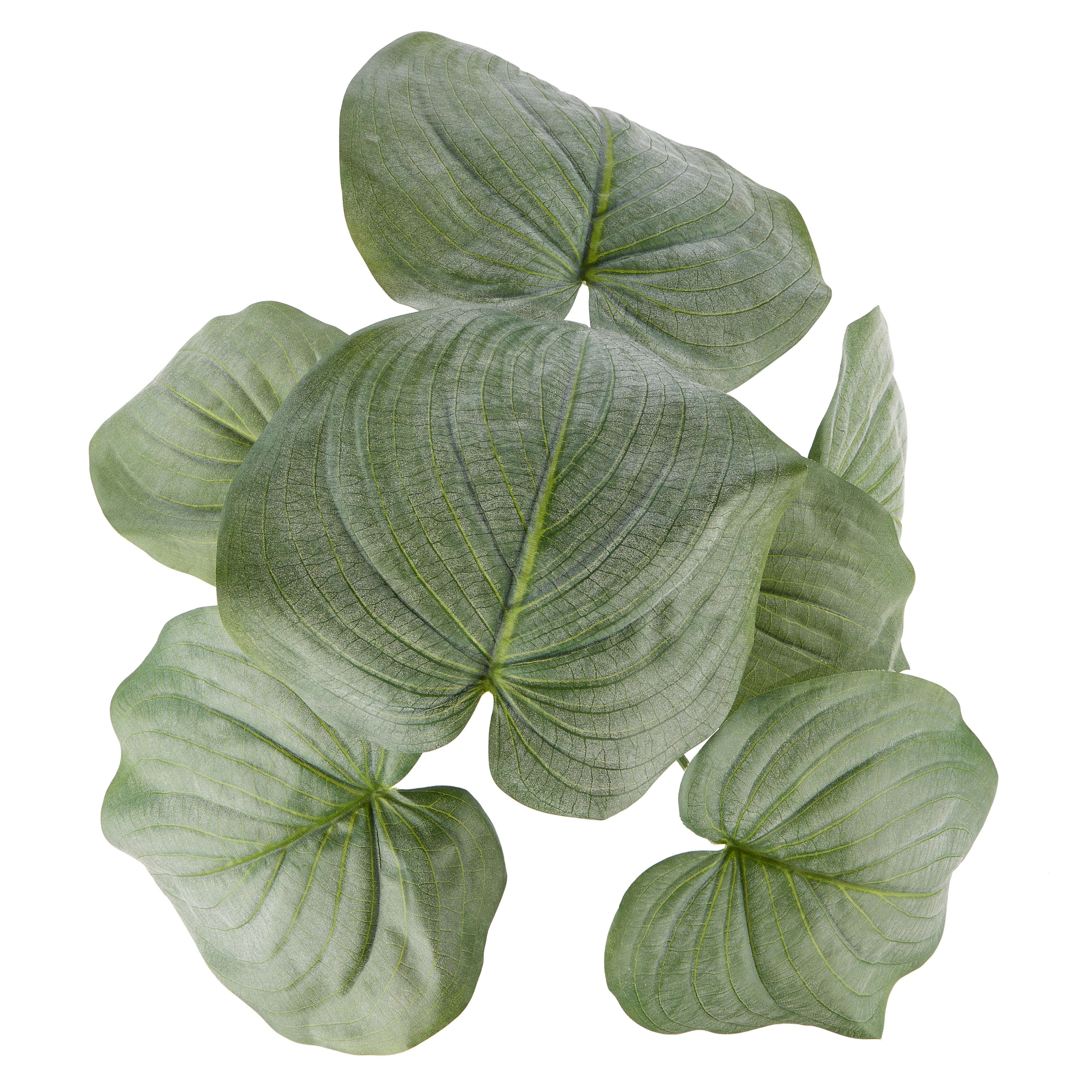 Faux Hosta Plant - Maliah Pot | Cream - 57cm