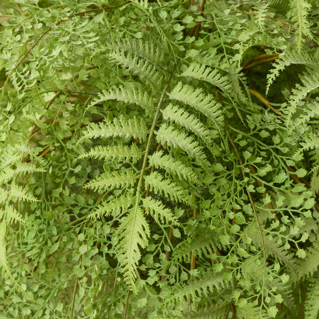 Faux Fern Garden Hanging Ball | 30cm
