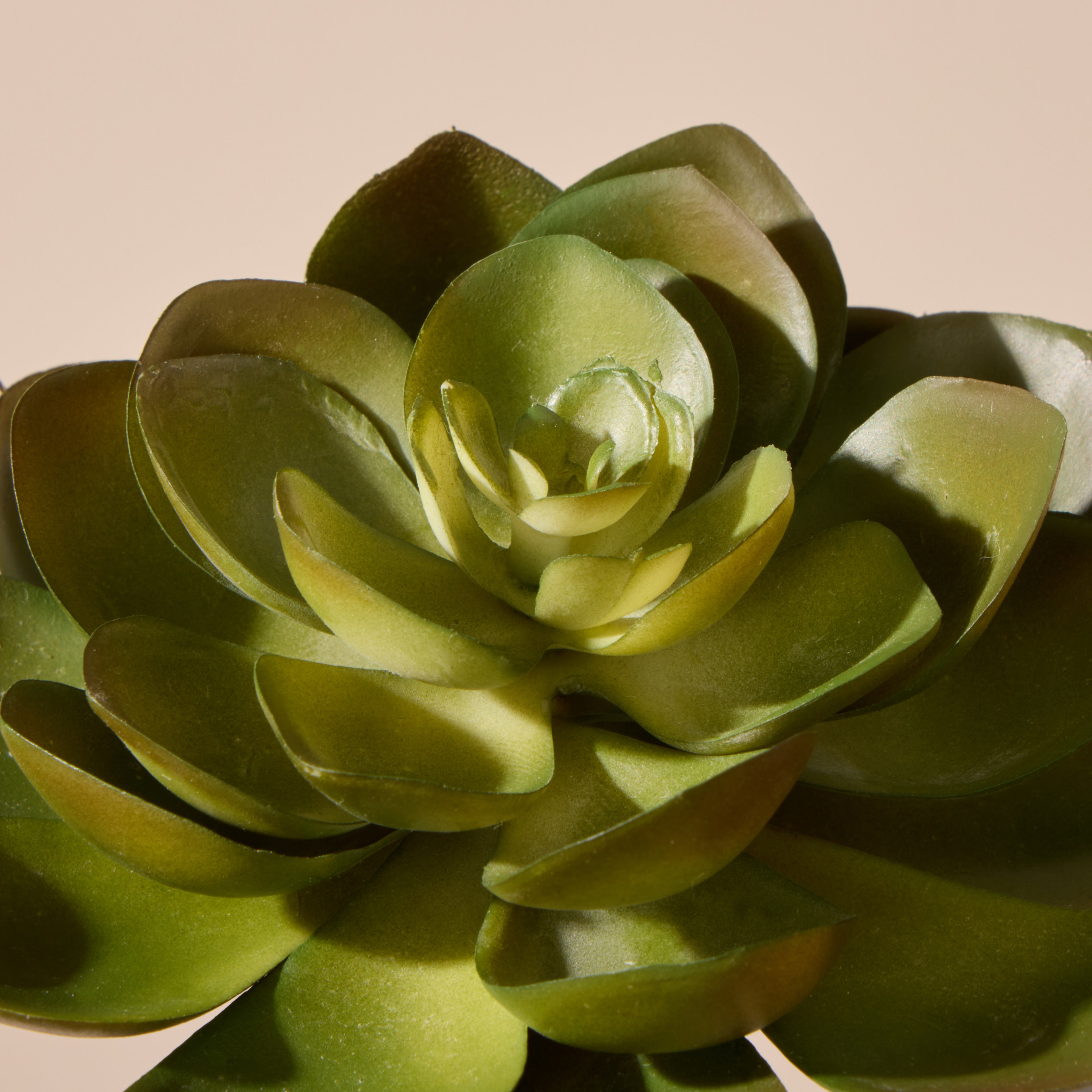 Faux Echeveria Succulent | Green - 13cm