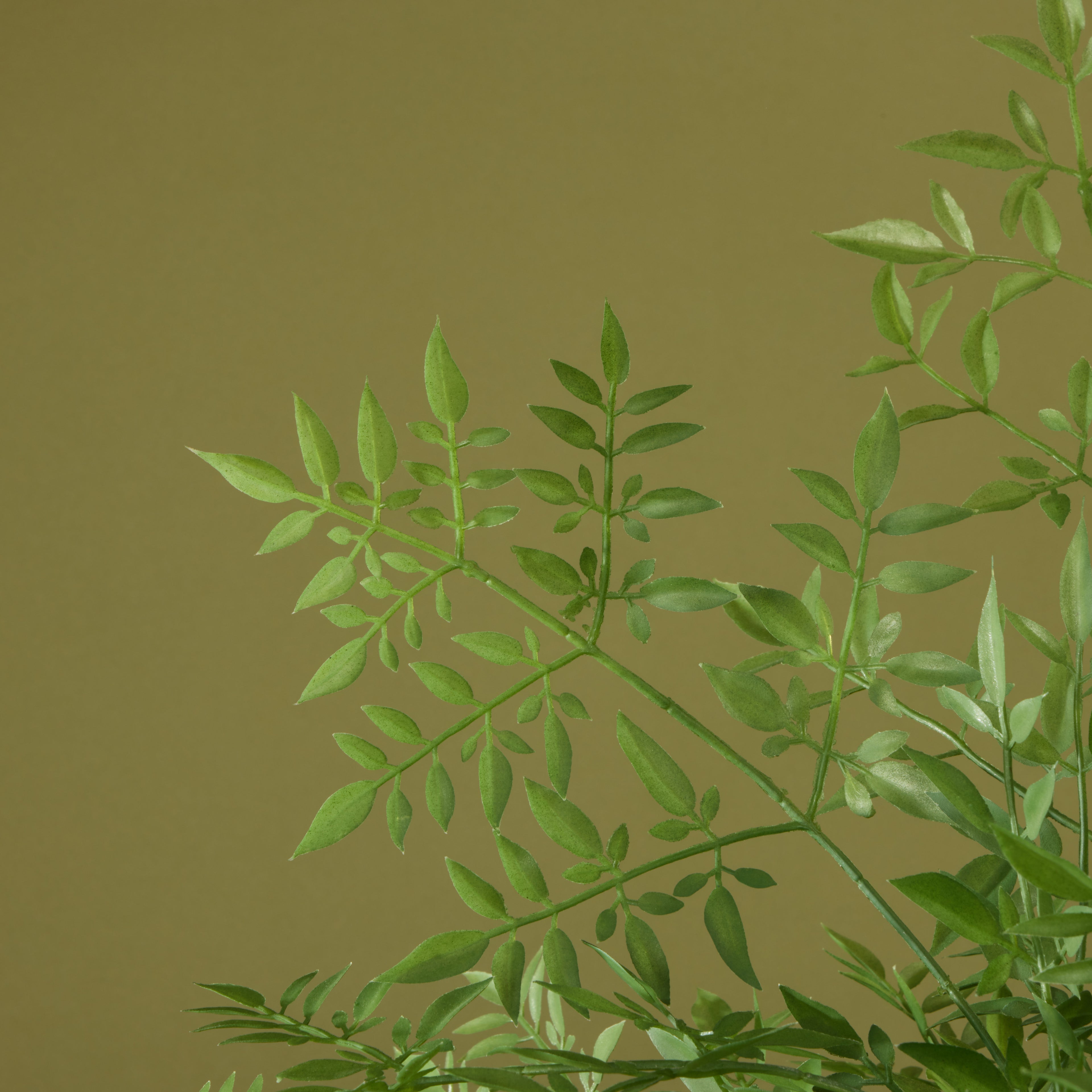 Faux Ficus Tree- Garden Pot | 150cm