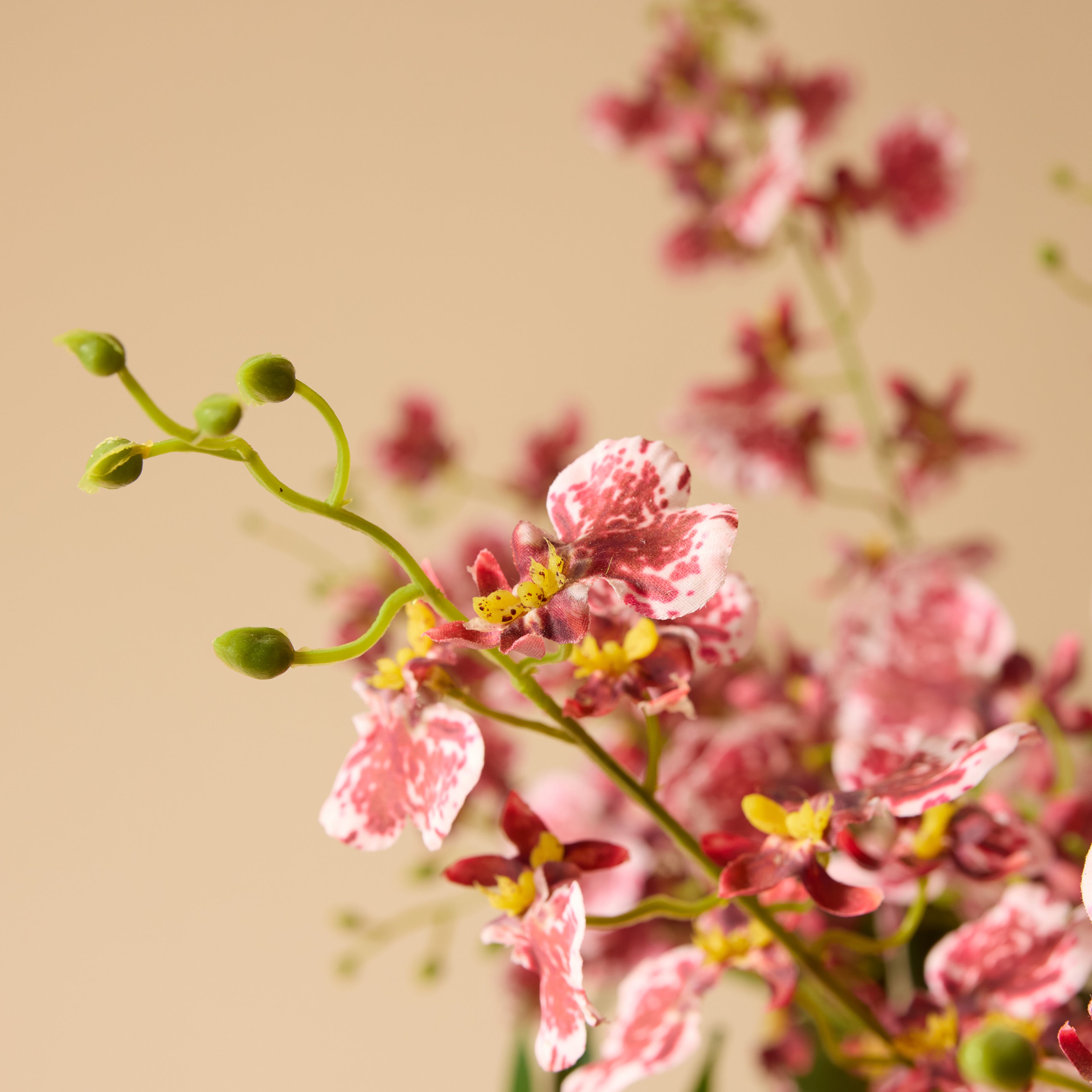 Faux Dancing Orchids - Madelyn Bowl | Burgundy - 67cm