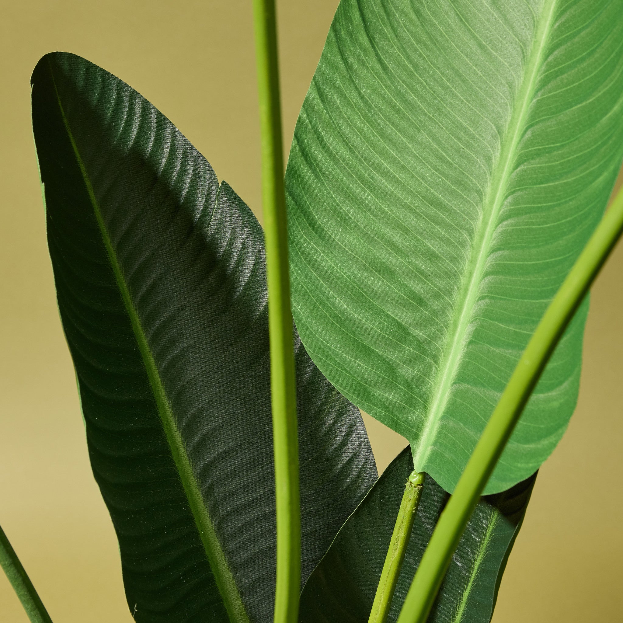 Faux Giant Bird of Paradise Plant | 152cm