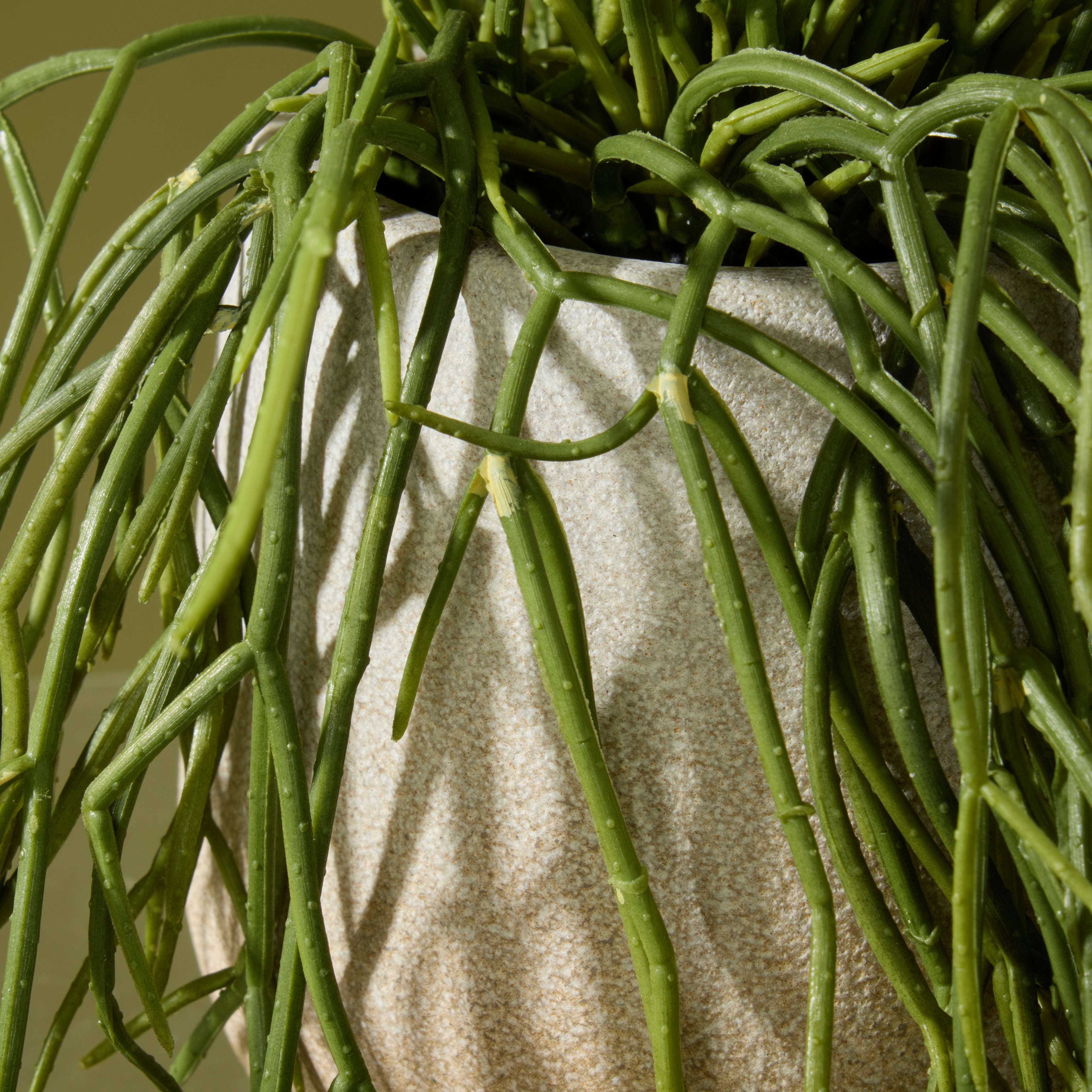 Faux Mistletoe Cactus Pot | 61cm