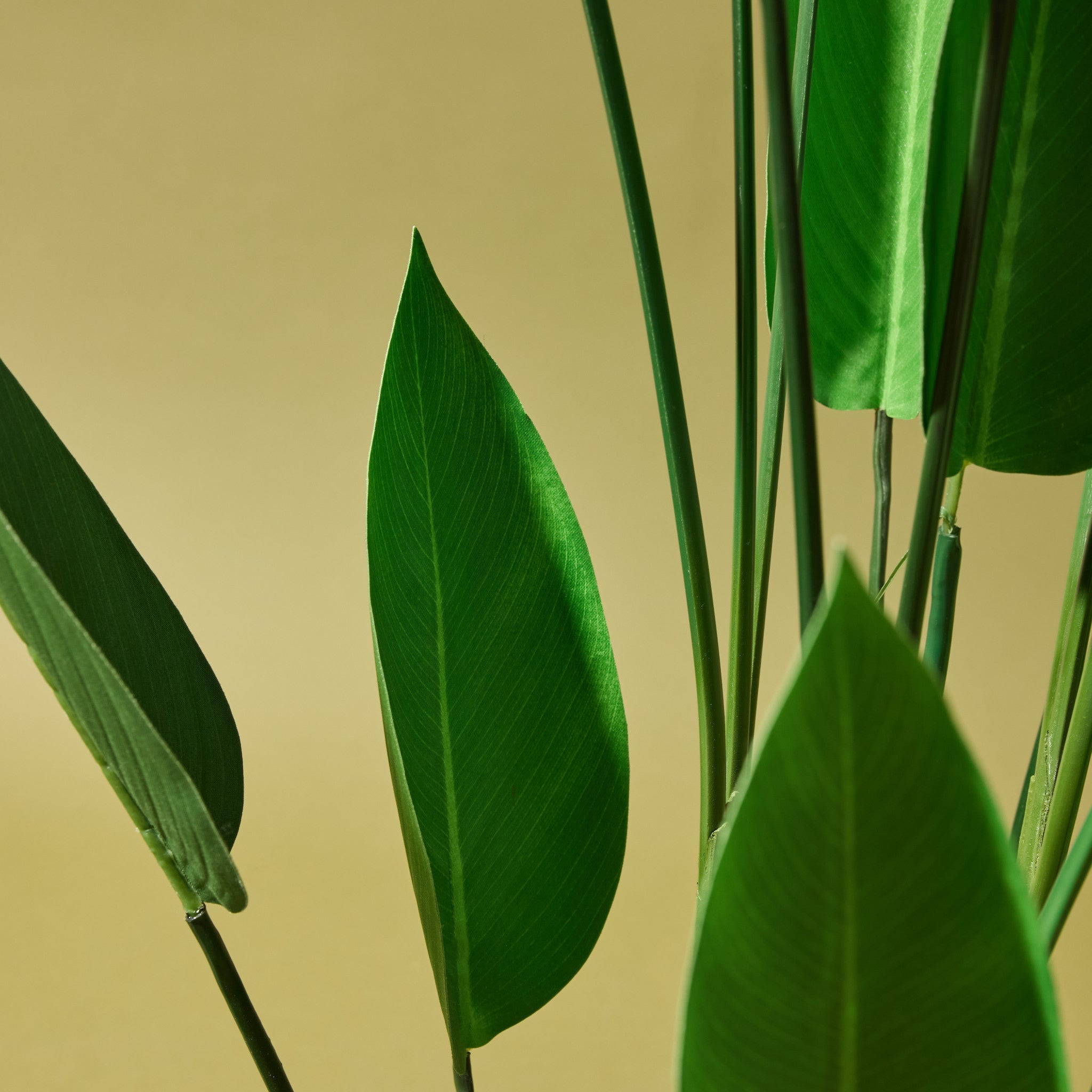 Faux Sky Bird Plant | 120cm