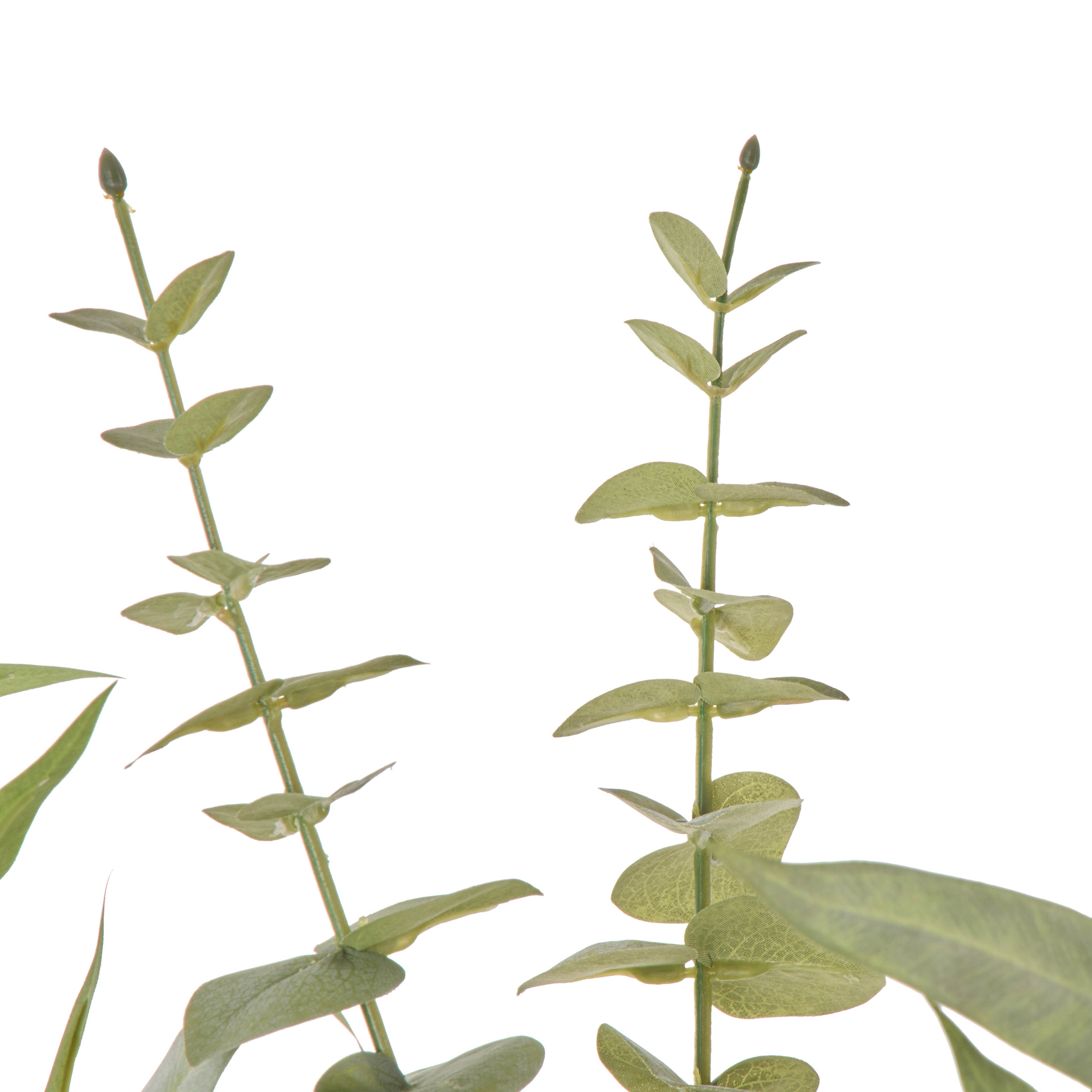 Faux Protea Kangaroo Paw - Claire Vase | Green - 68cm
