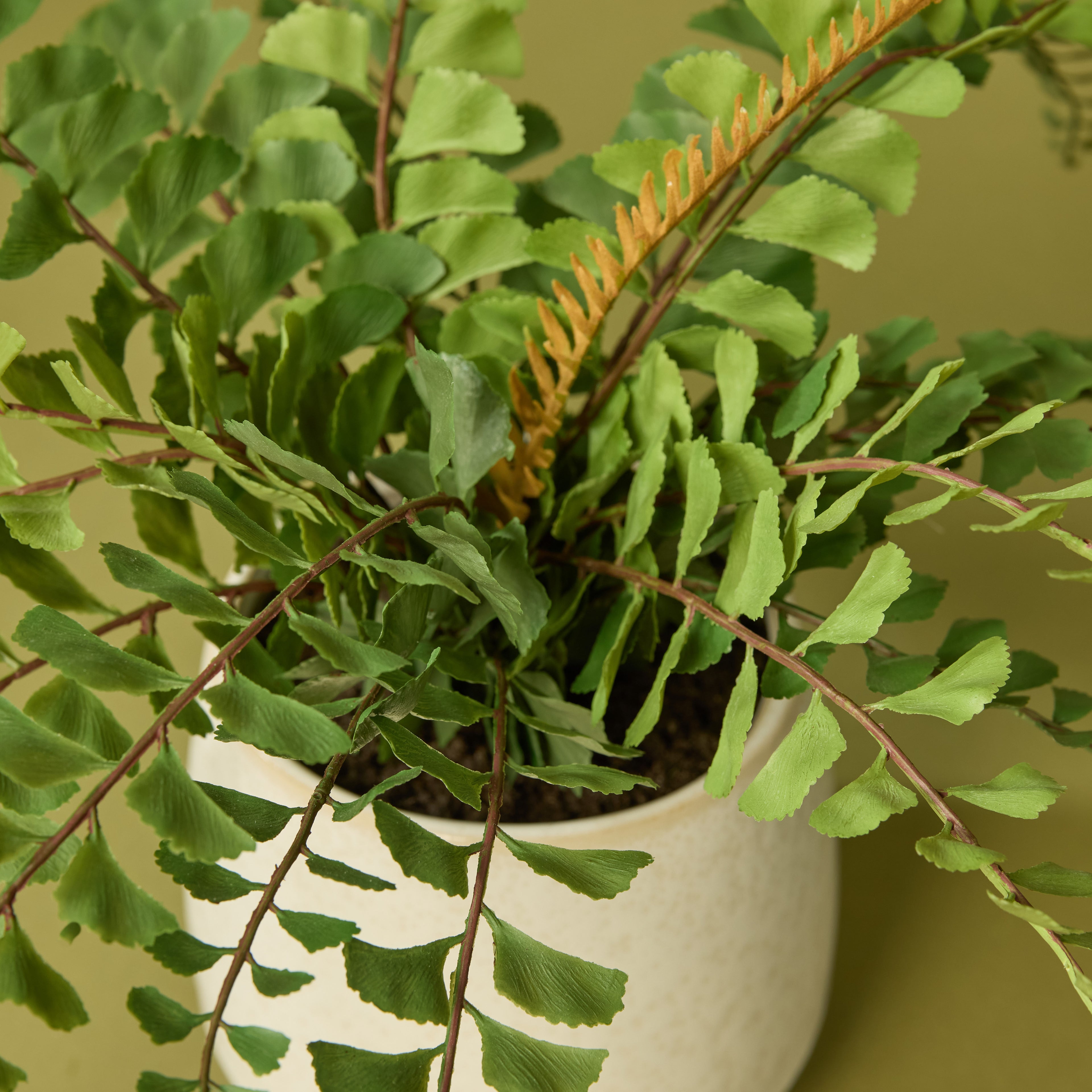 Faux Jewel Fern - Gianna Pot | White - 24cm