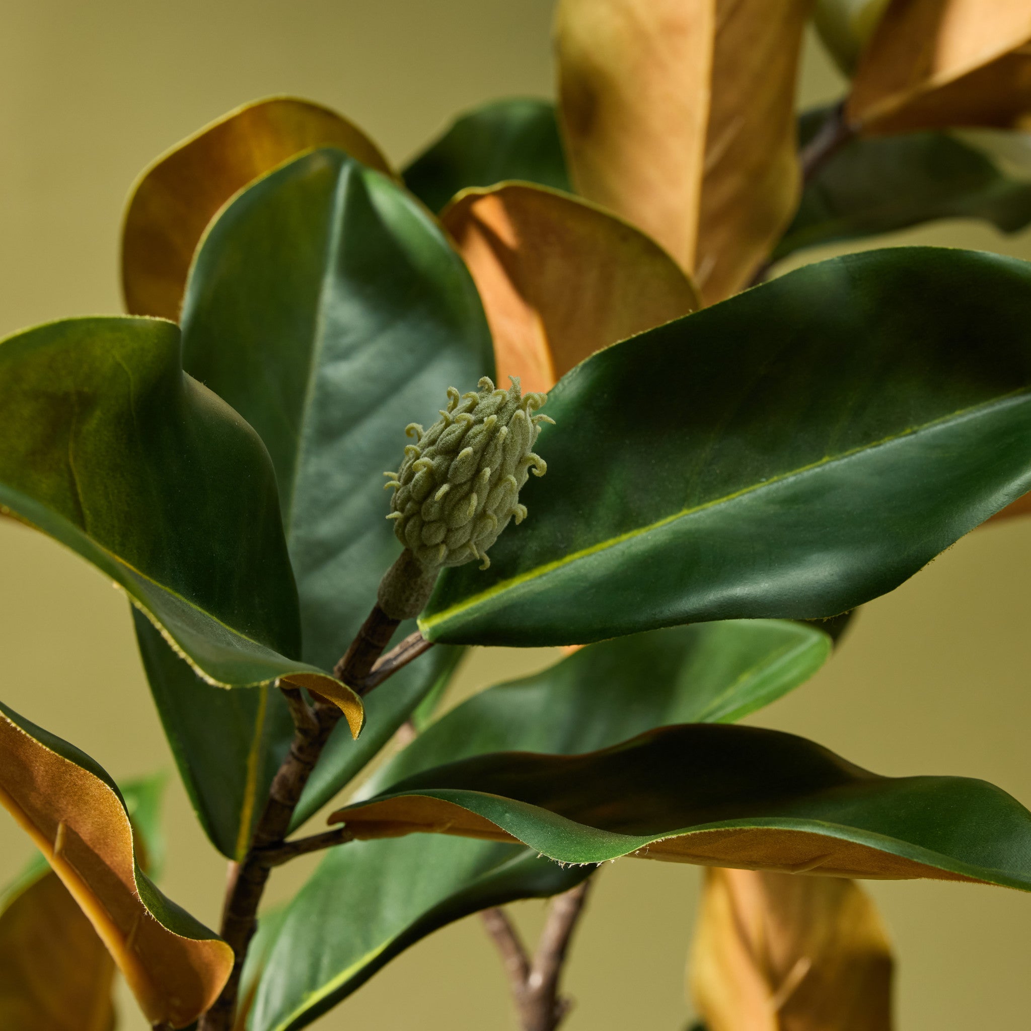 Faux Magnolia Tree | 158cm