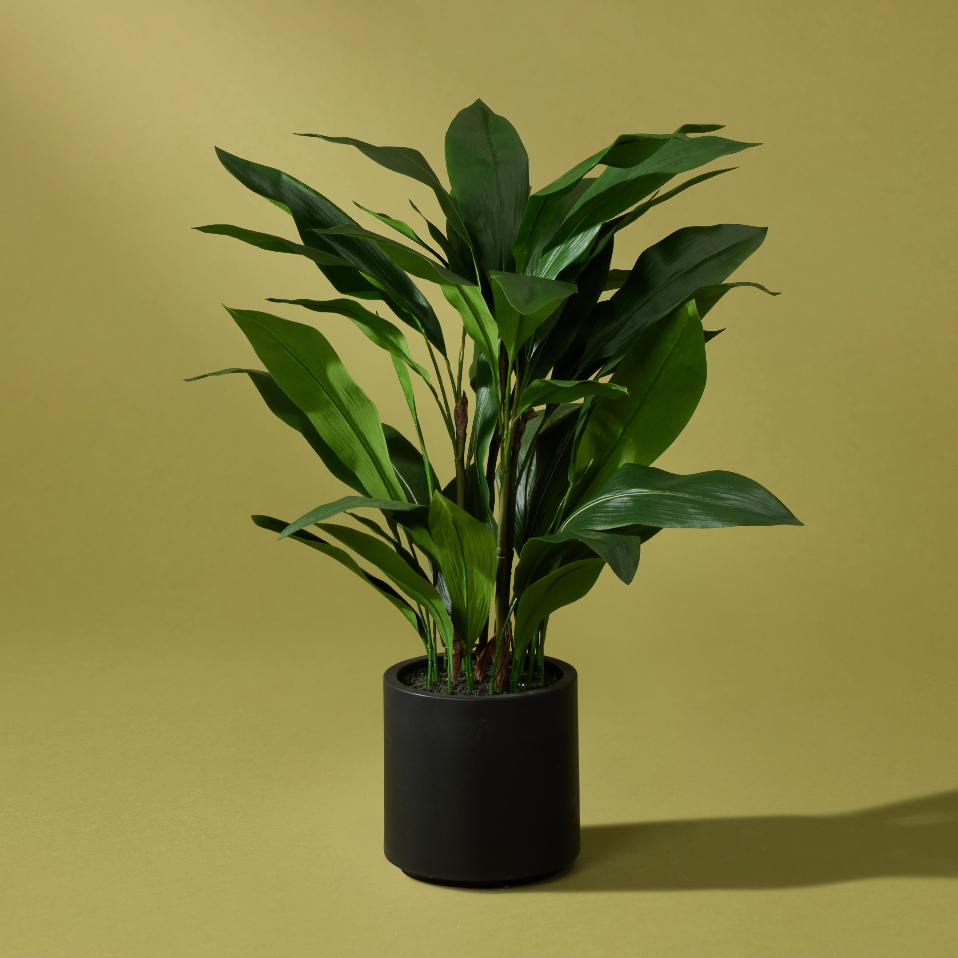 Faux Cast Iron Plant UV Treated | 120cm