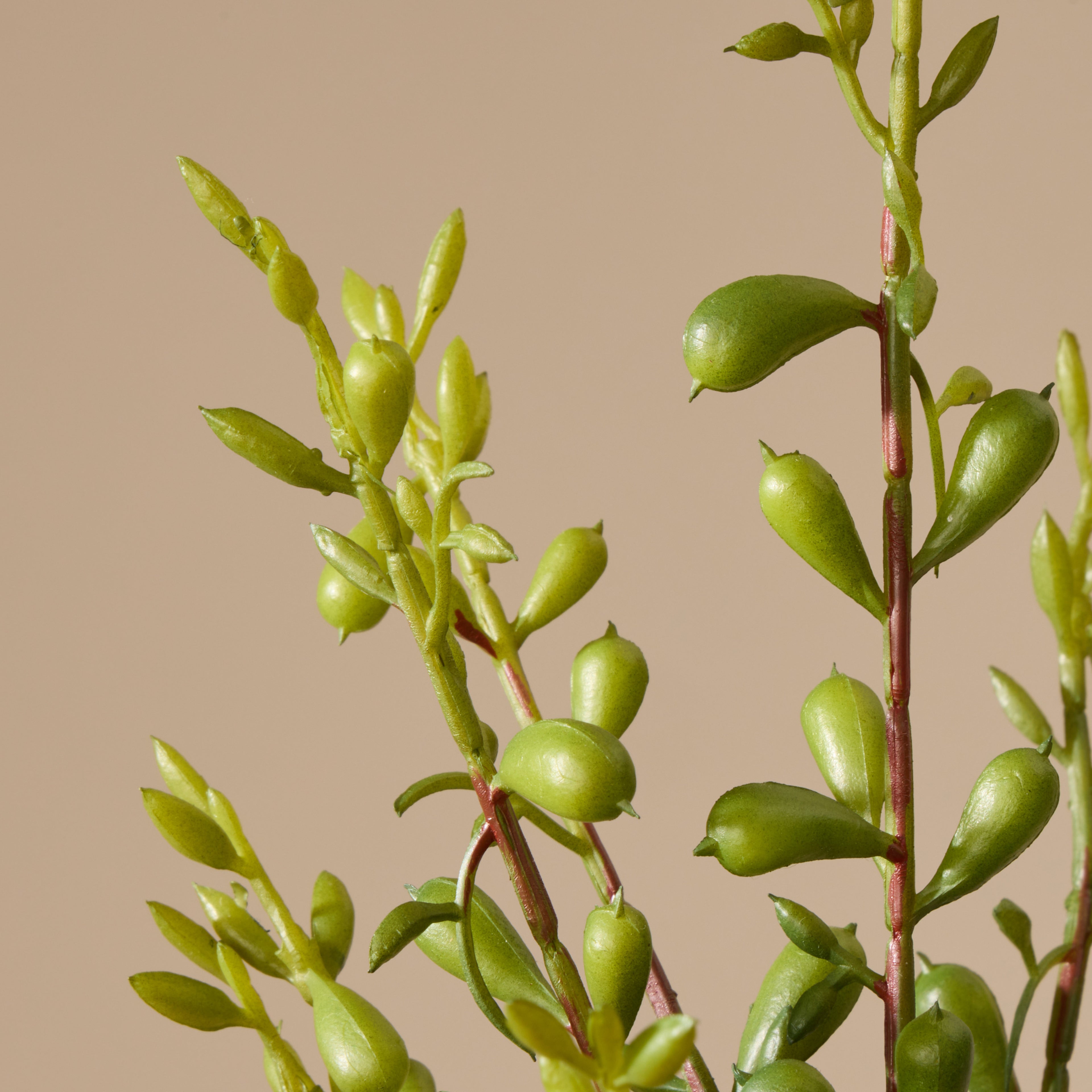 Faux Jelly Bean Spray | Green - 5cm