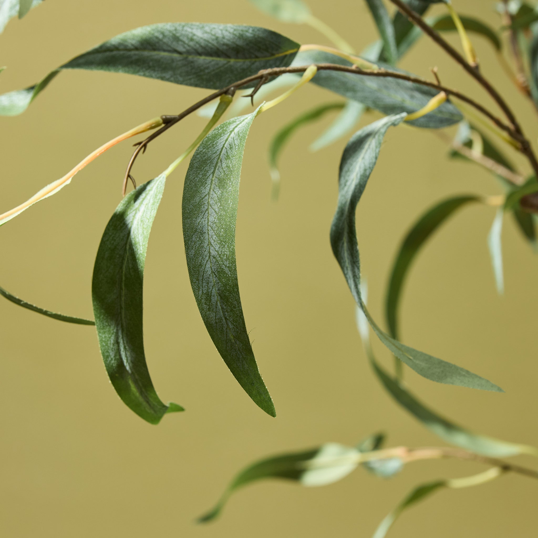 Faux Eucalyptus Willow Tree | 184cm