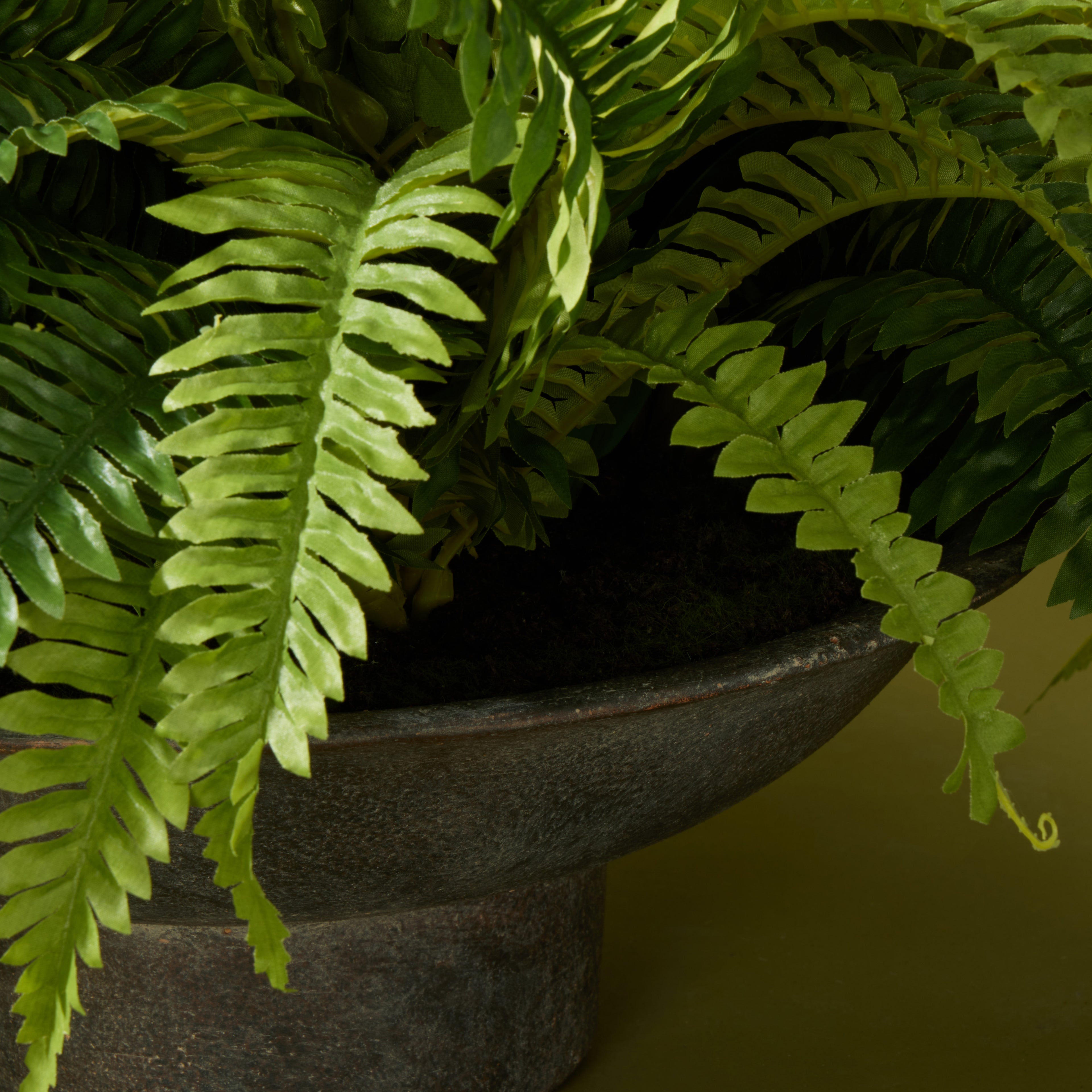 Faux Phalaenopsis Orchid and Ferns - Nimes Footed Bowl | 79cm