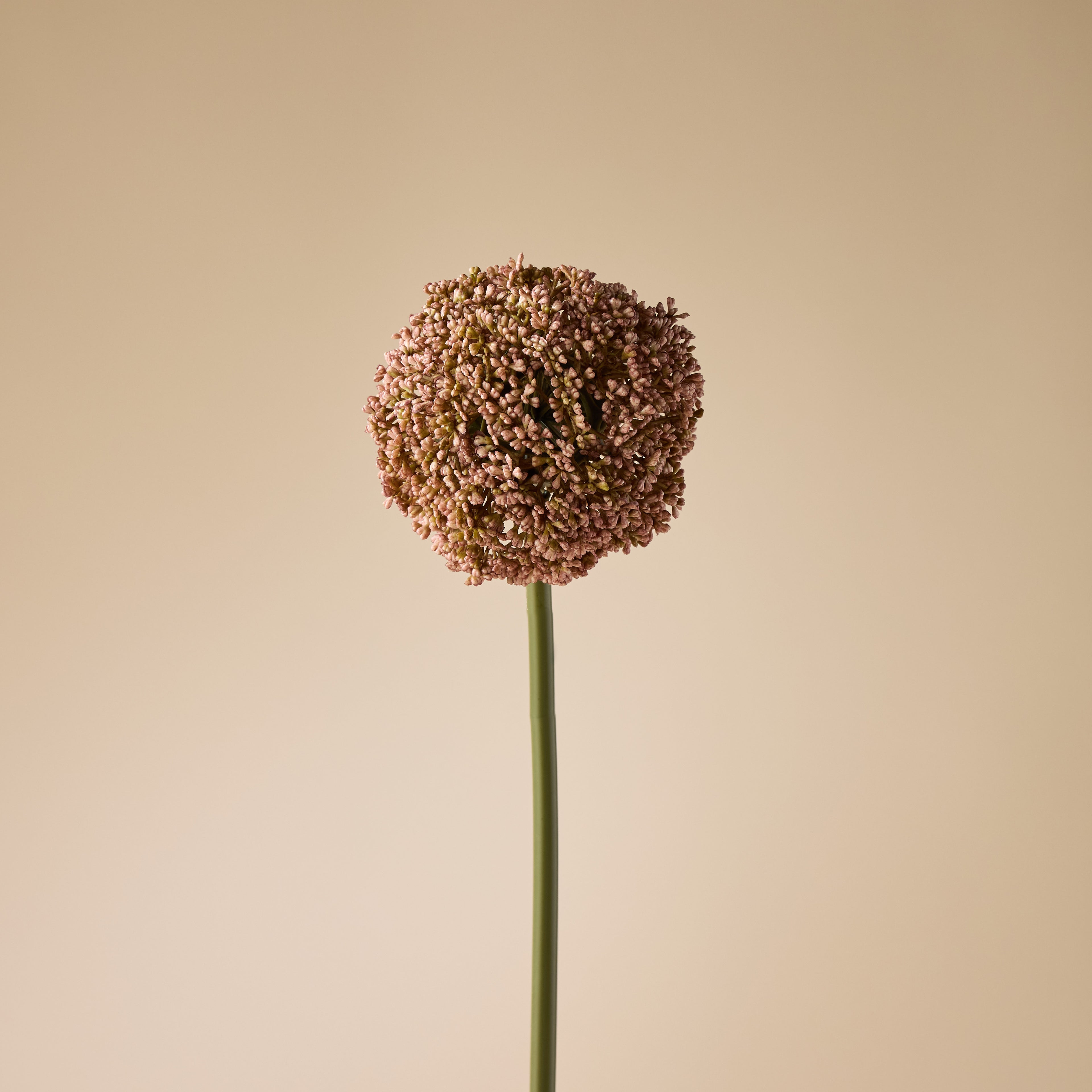Faux Allium Stem | Pink - 76cm
