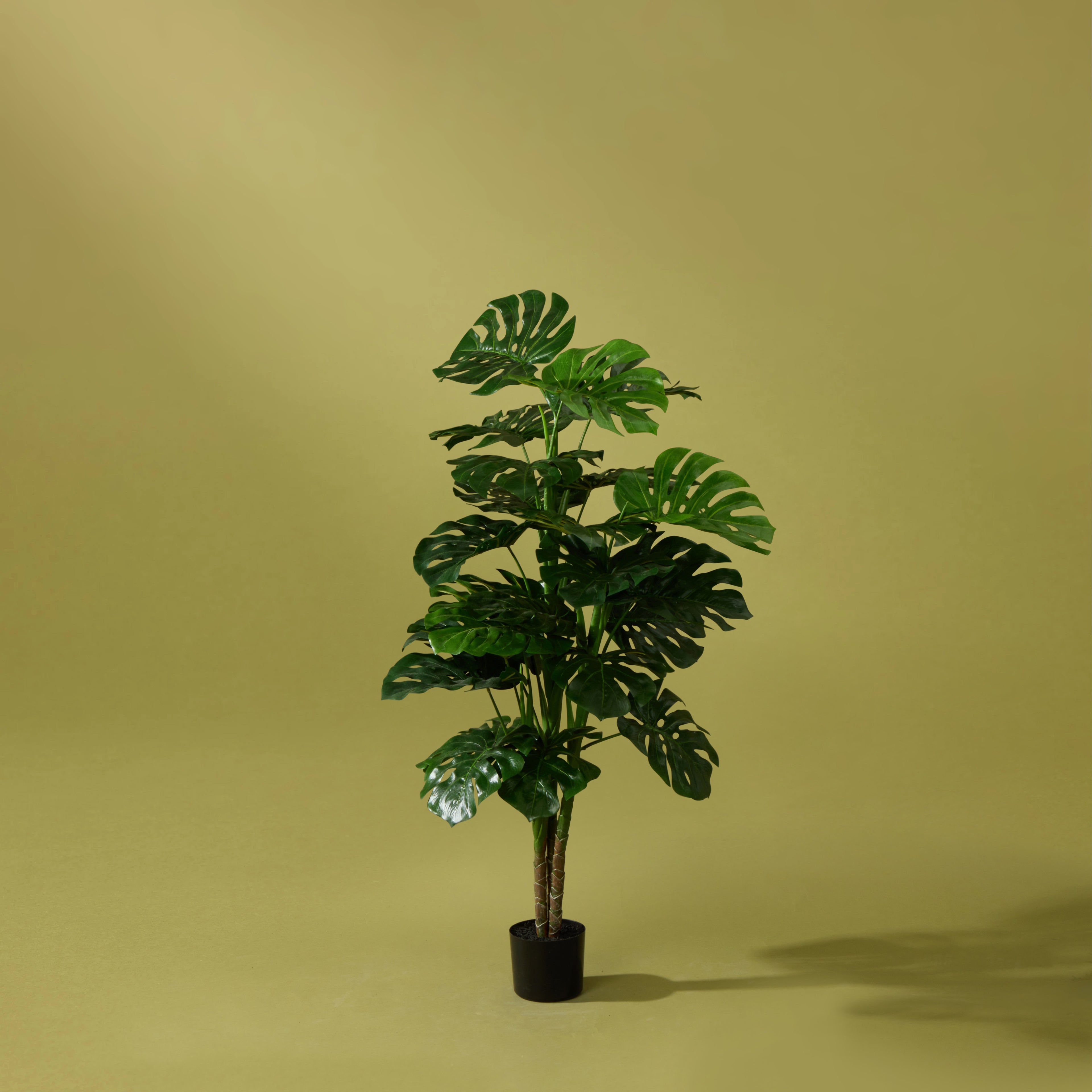 Faux Monstera UV Treated - Garden Pot | 140cm