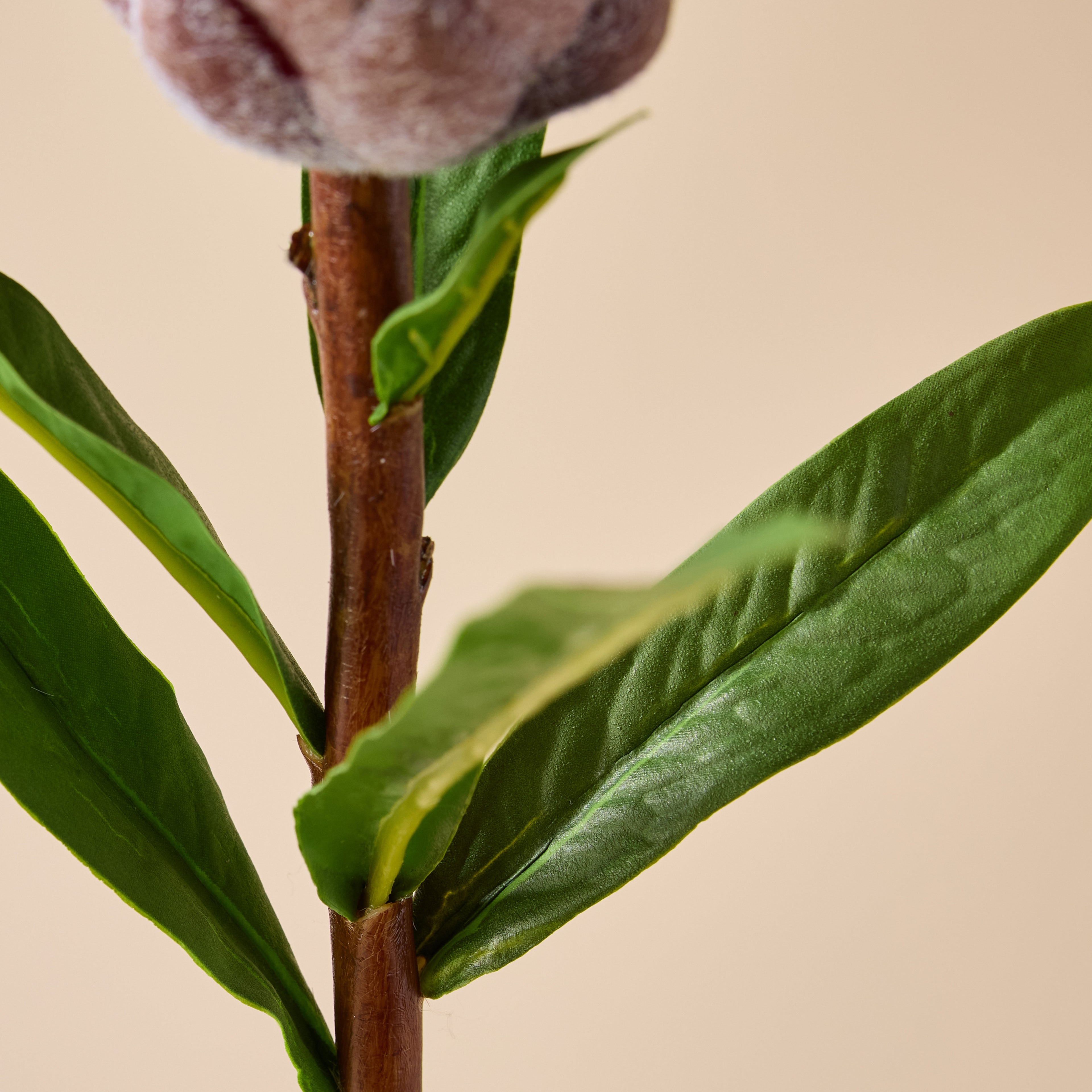 Faux Flocked Protea Stem | Pink -  61cm