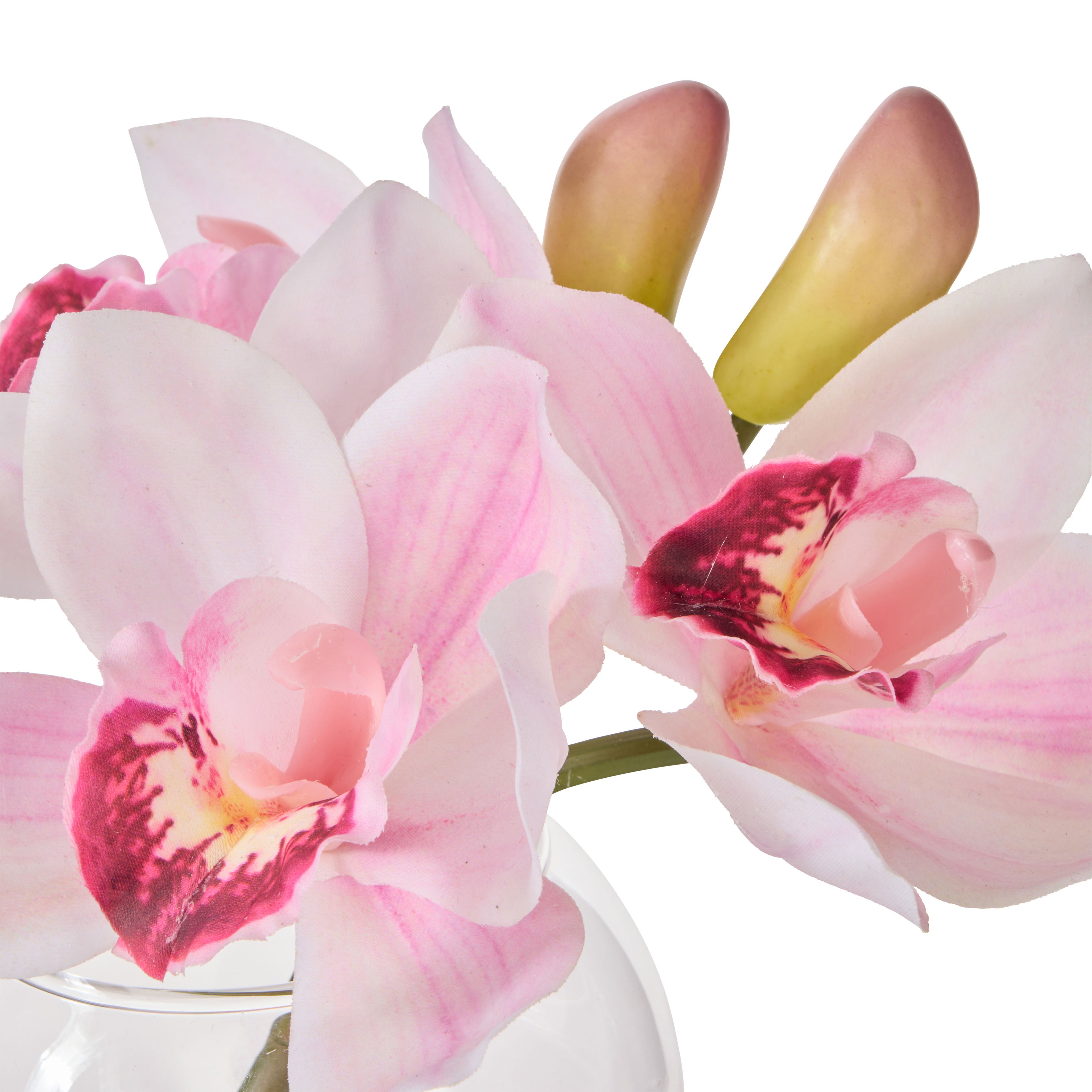 Faux Cymbidium - Glass Vase | Pink - 16cm