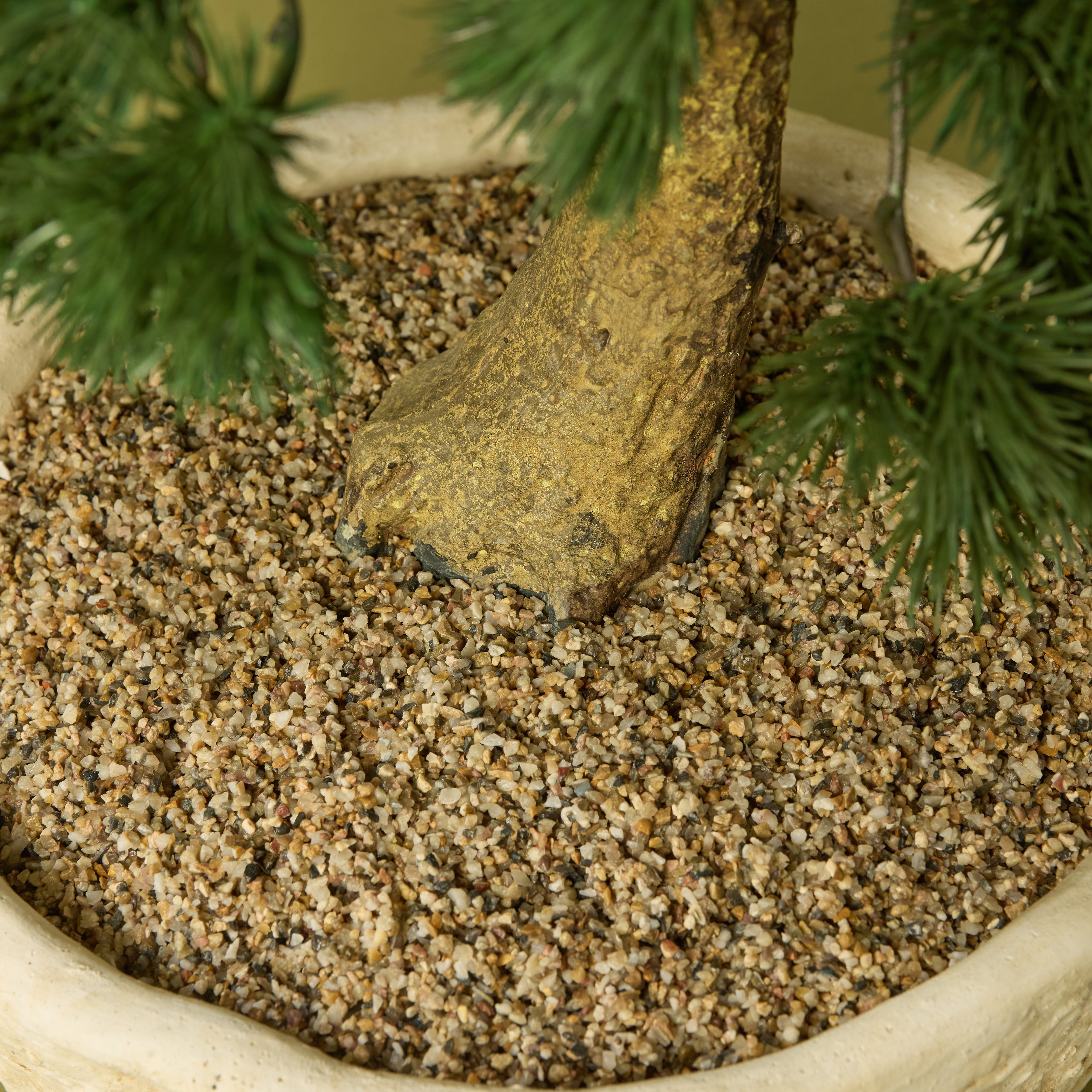 Faux Pine Bonsai - Textured Cement Pot | Cream - 57cm