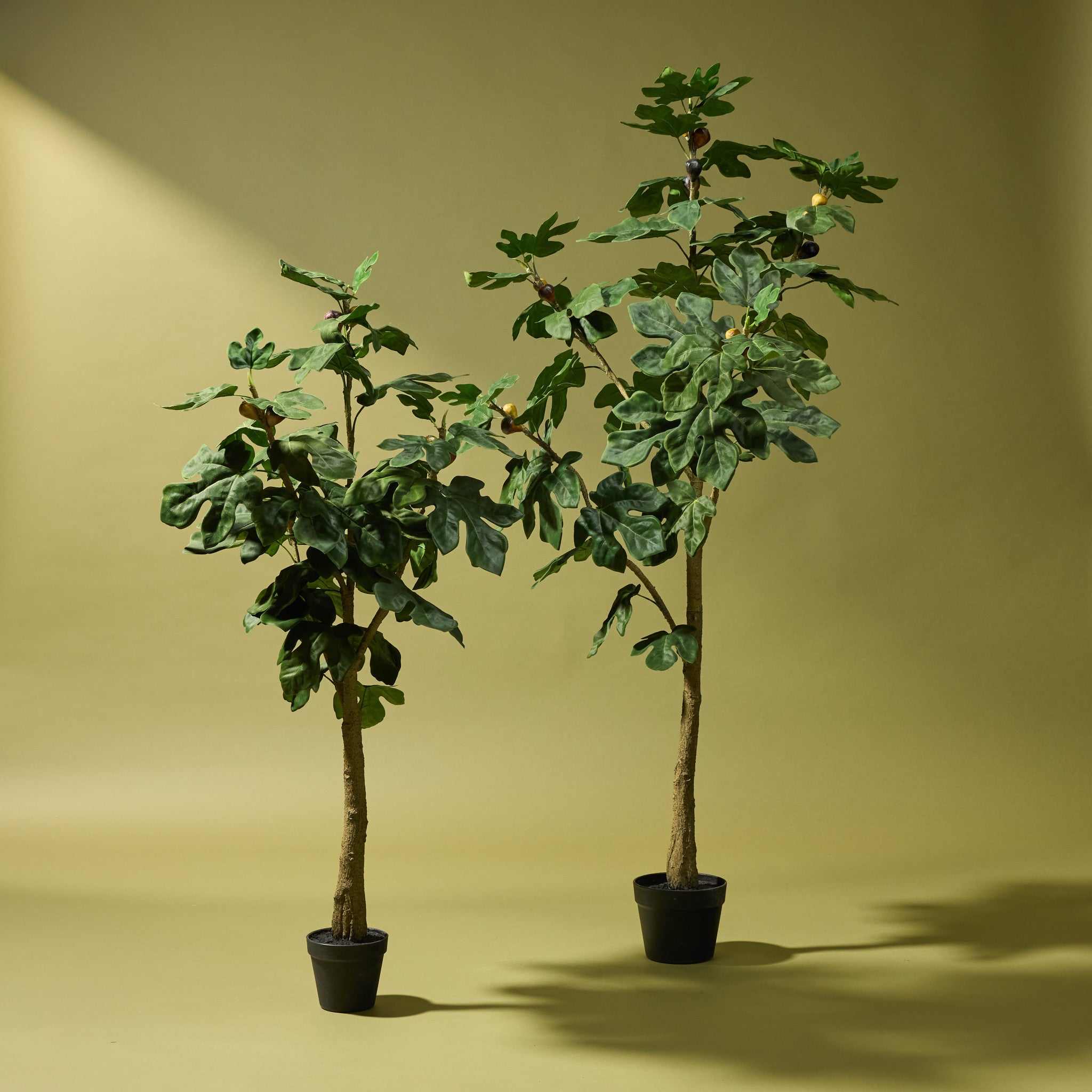 Faux Fig Tree - Garden Pot | 120cm