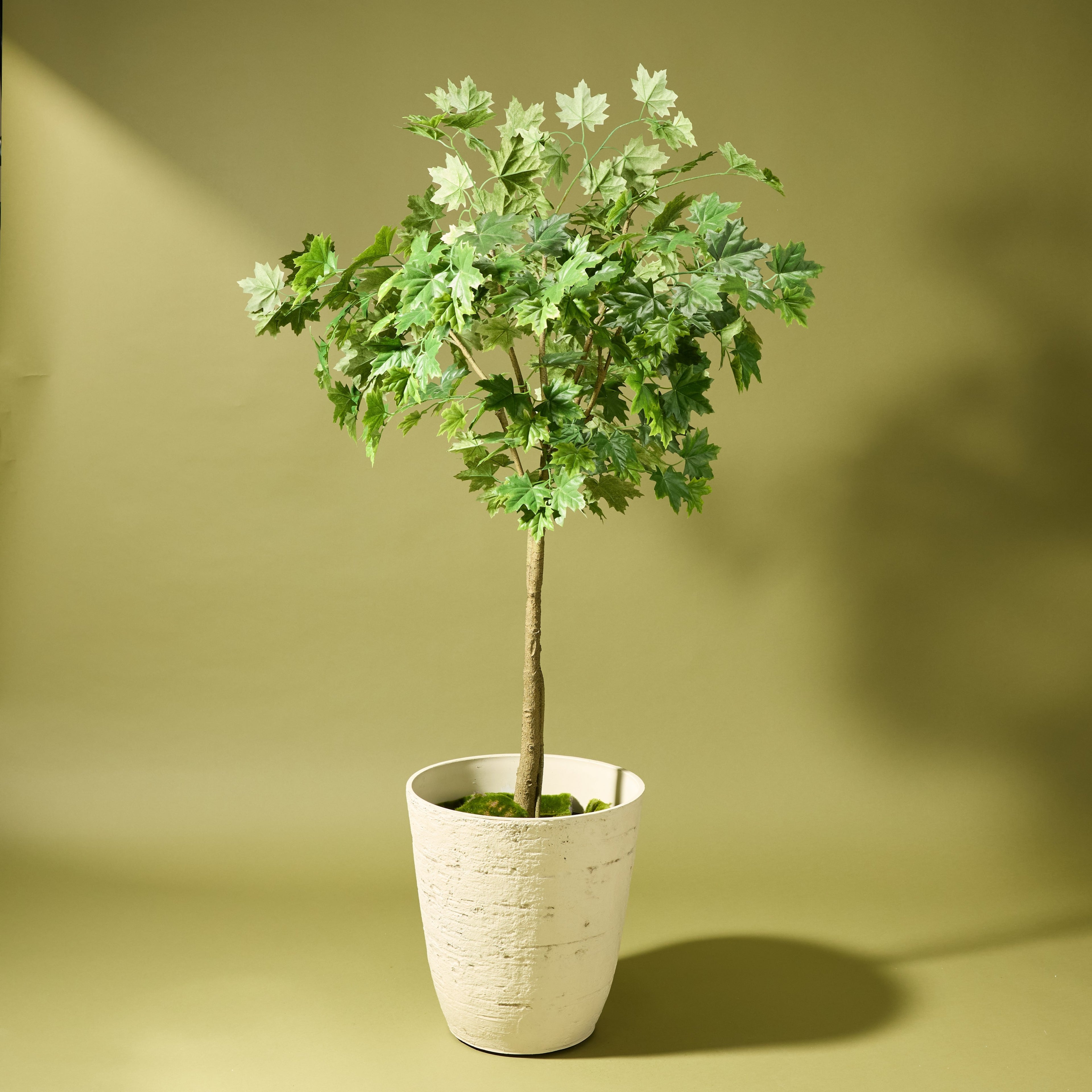 Faux Maple Tree - Garden Pot | 150cm