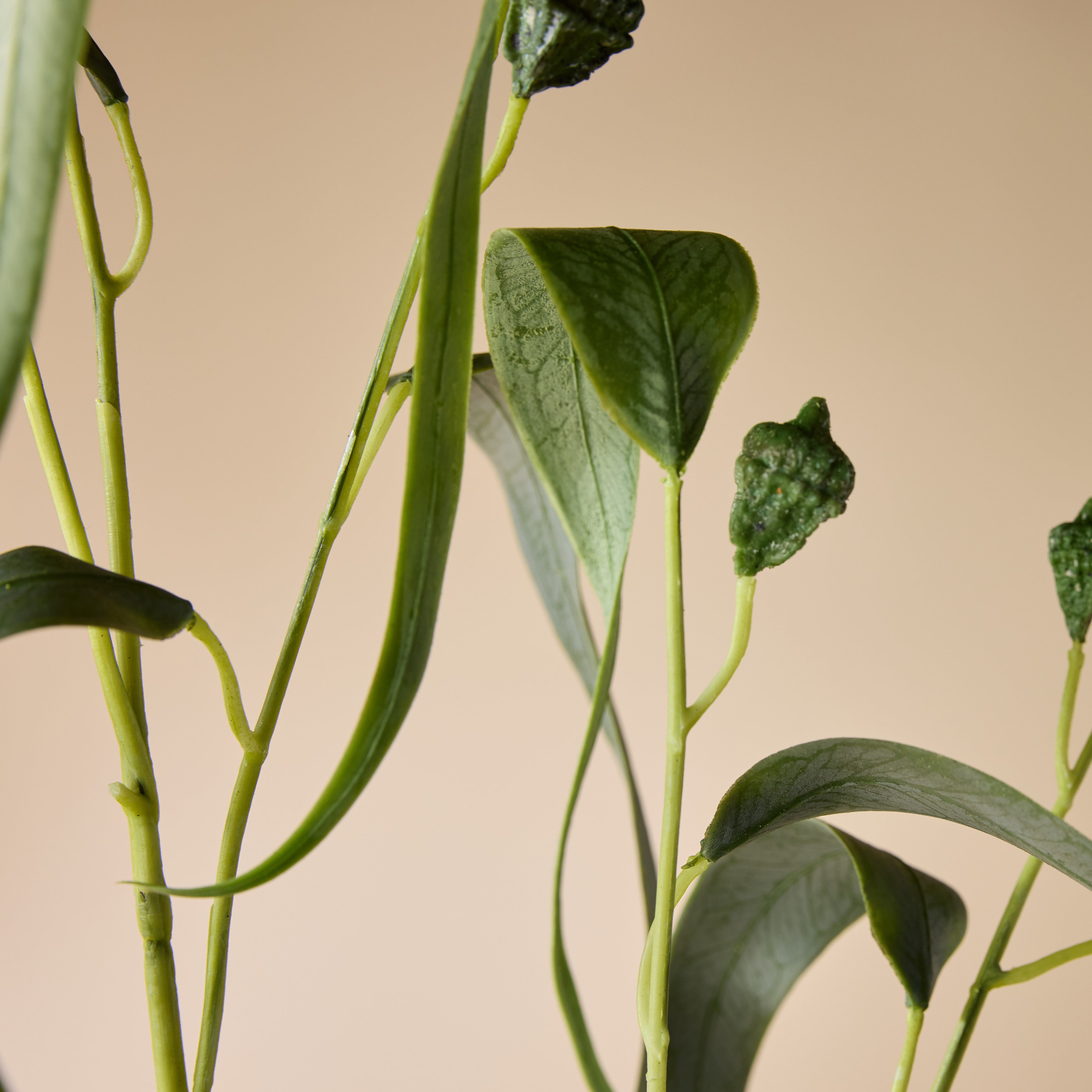 Faux Eucalyptus Gum Nut Spray | 122cm