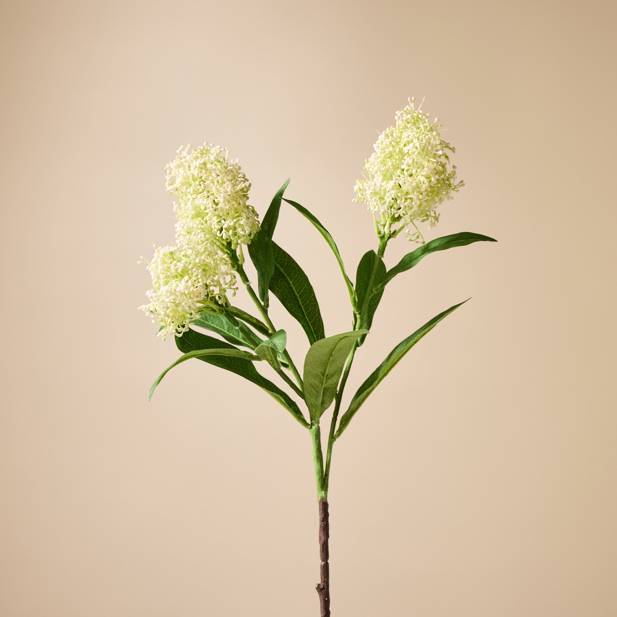 Skimmia Spray Bunch - Hester Vase | Three Birds Set