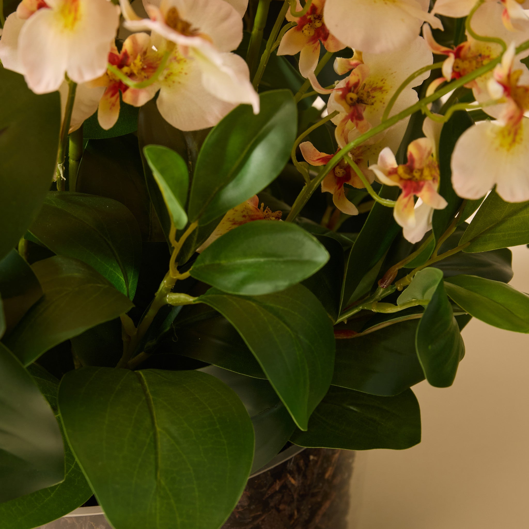 Faux Dancing Orchids - Madelyn Bowl | Cream - 67cm