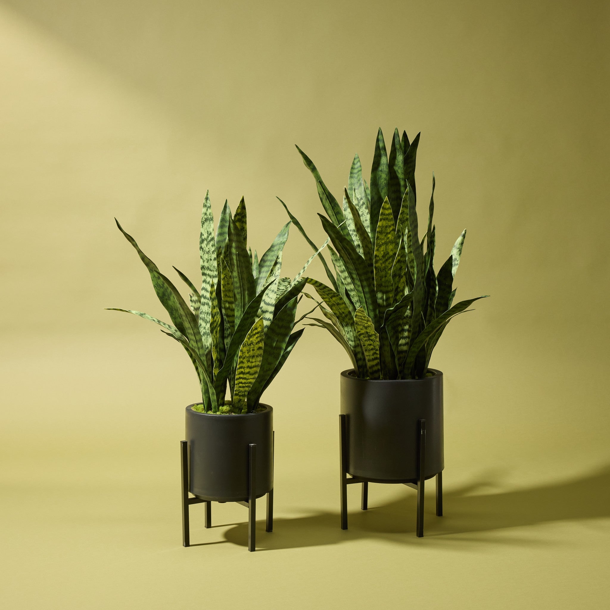 Faux Sanseveria - Standing Planter | 85cm