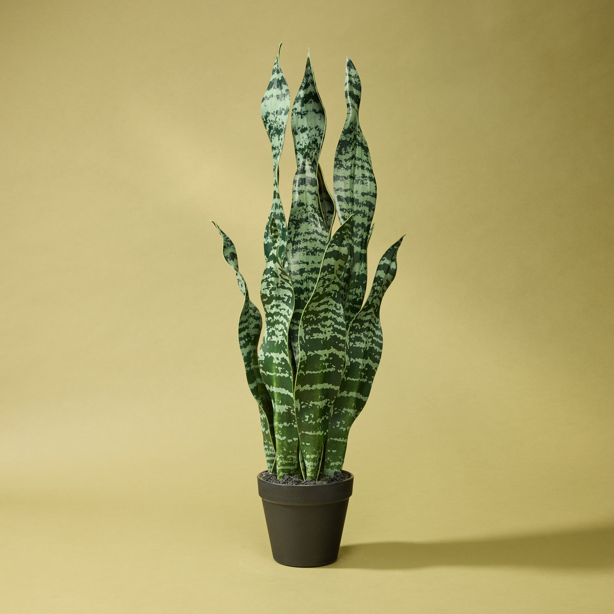 Faux Sansevieria Plant - Garden Pot | 65cm